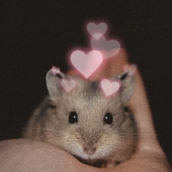 rayover_2025-10-20T12:23:49.790Z