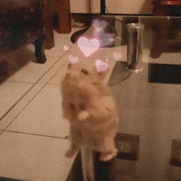 rayover_2025-10-20T12:24:03.090Z