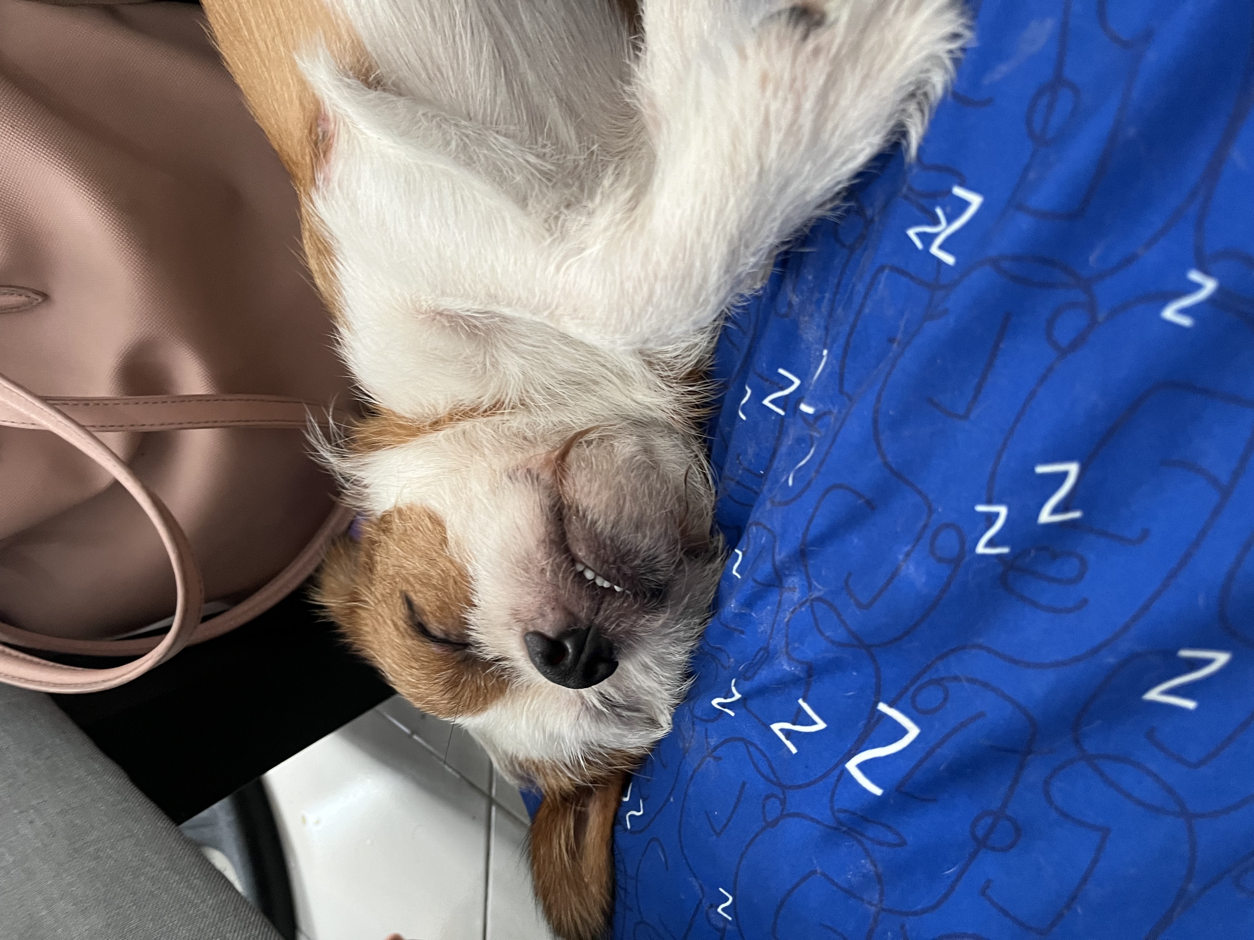 IMG_8670.jpeg