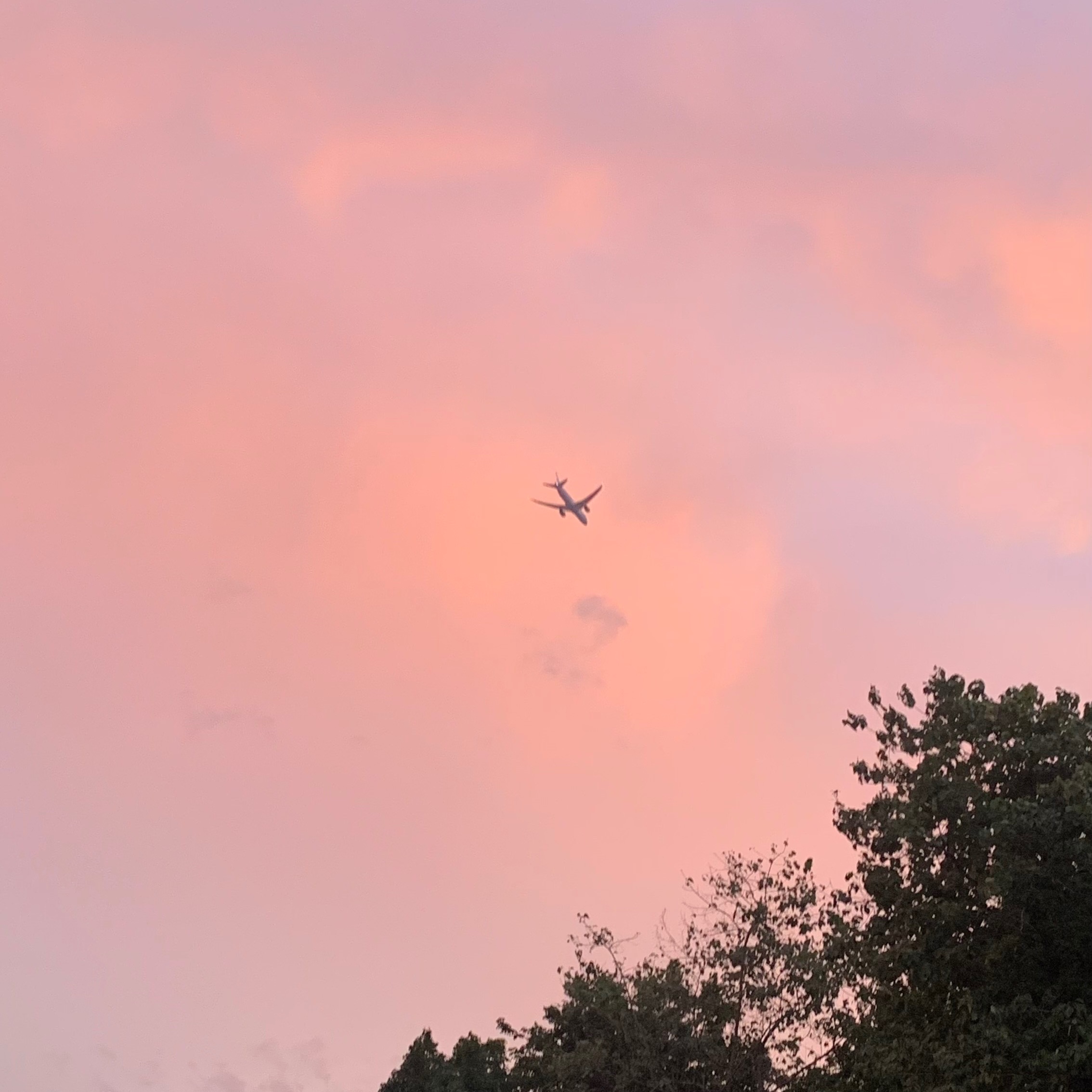 rayover_2025-10-27T05:24:14.627Z