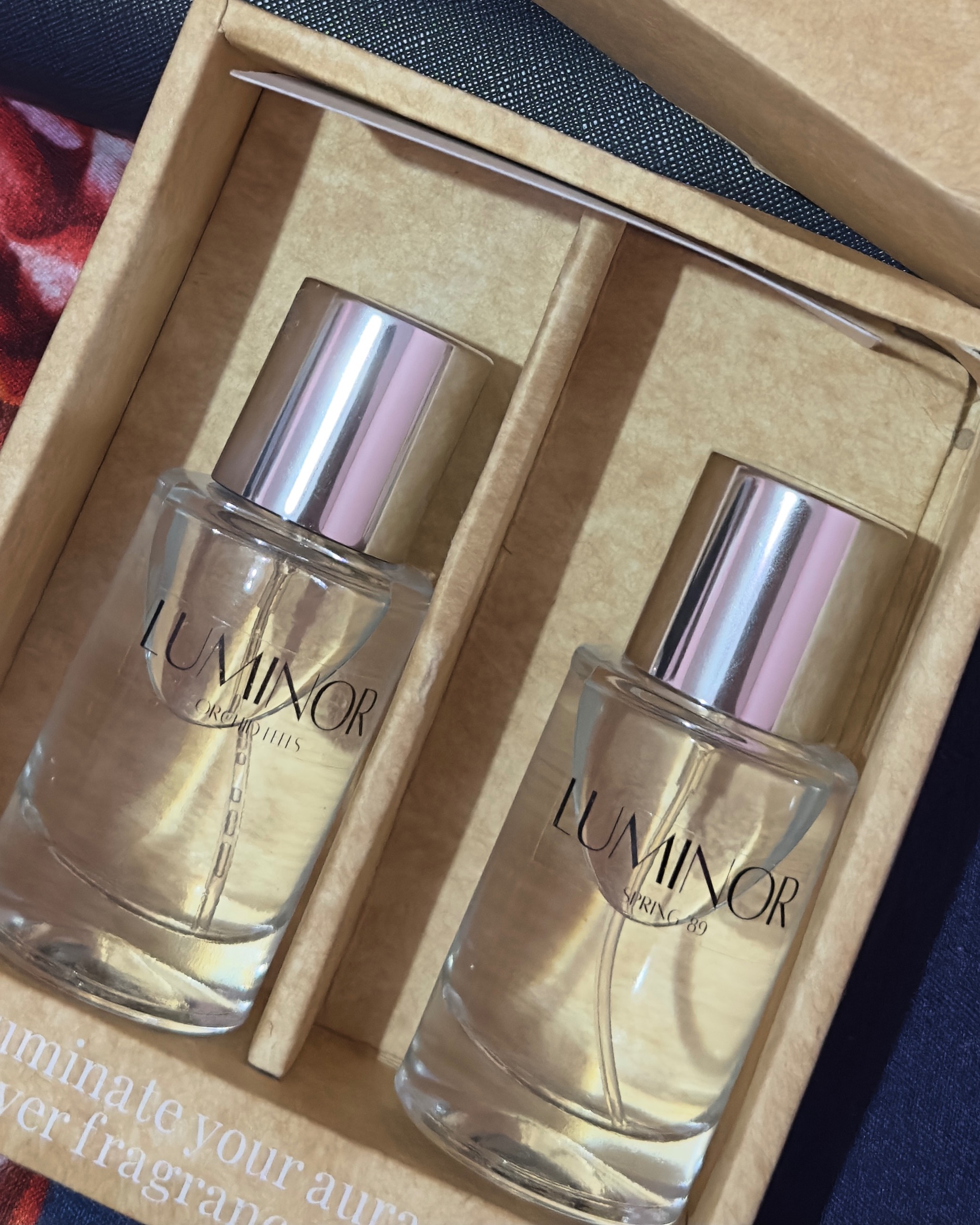 rayover_2025-10-31T05:25:46.312Z