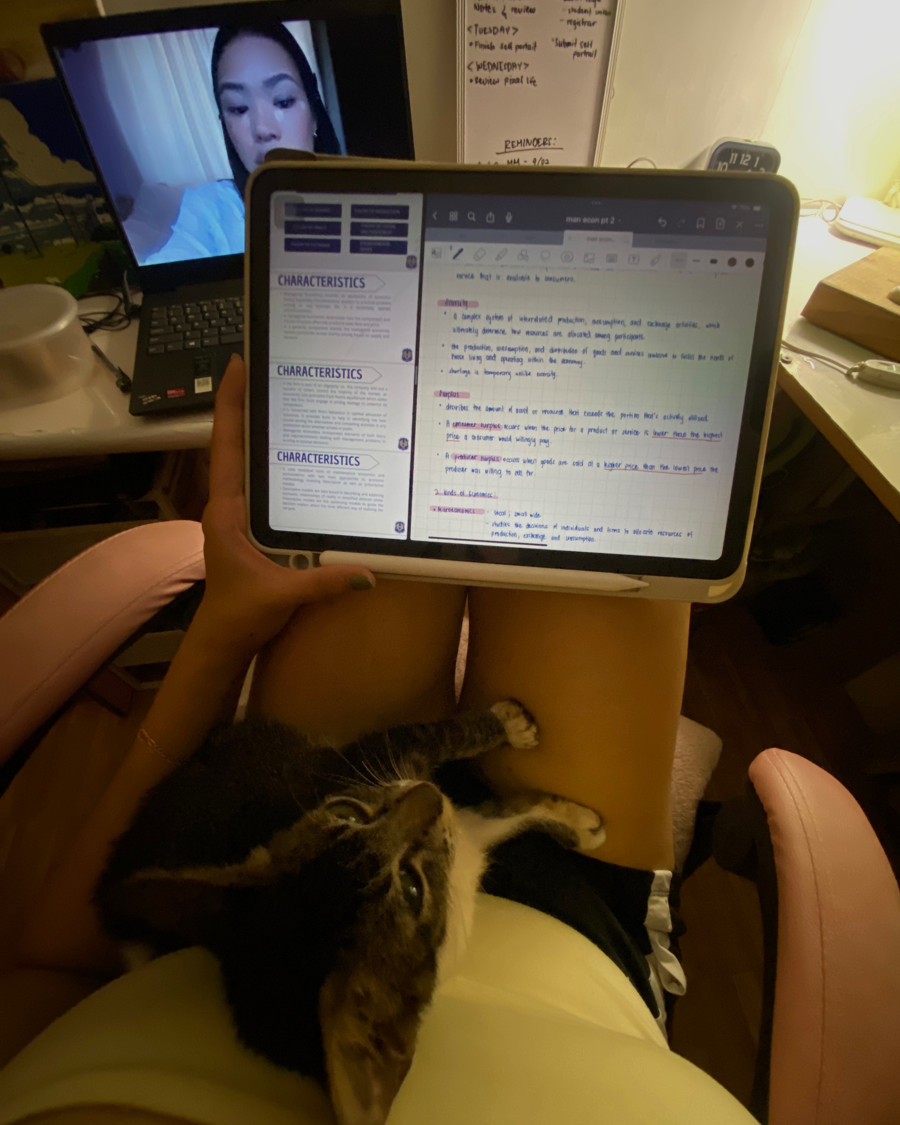 rayover_2025-10-31T15:05:45.046Z