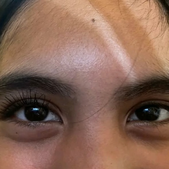 rayover_2026-01-14T08:31:01.061Z