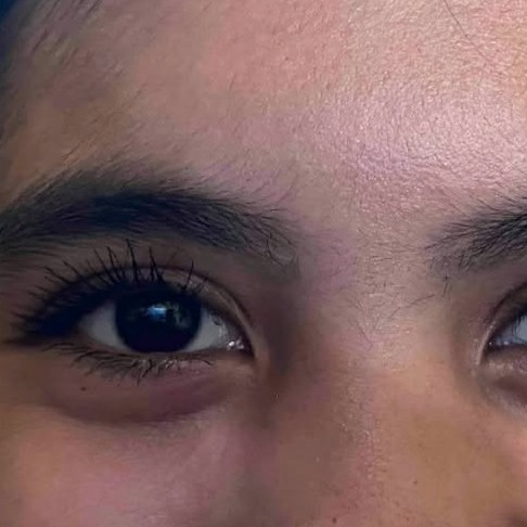 rayover_2026-01-14T08:31:24.343Z