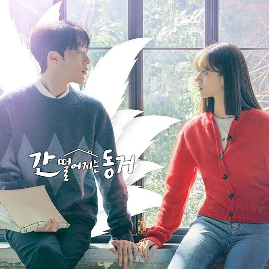 rayover_2026-01-27T08:26:04.840Z