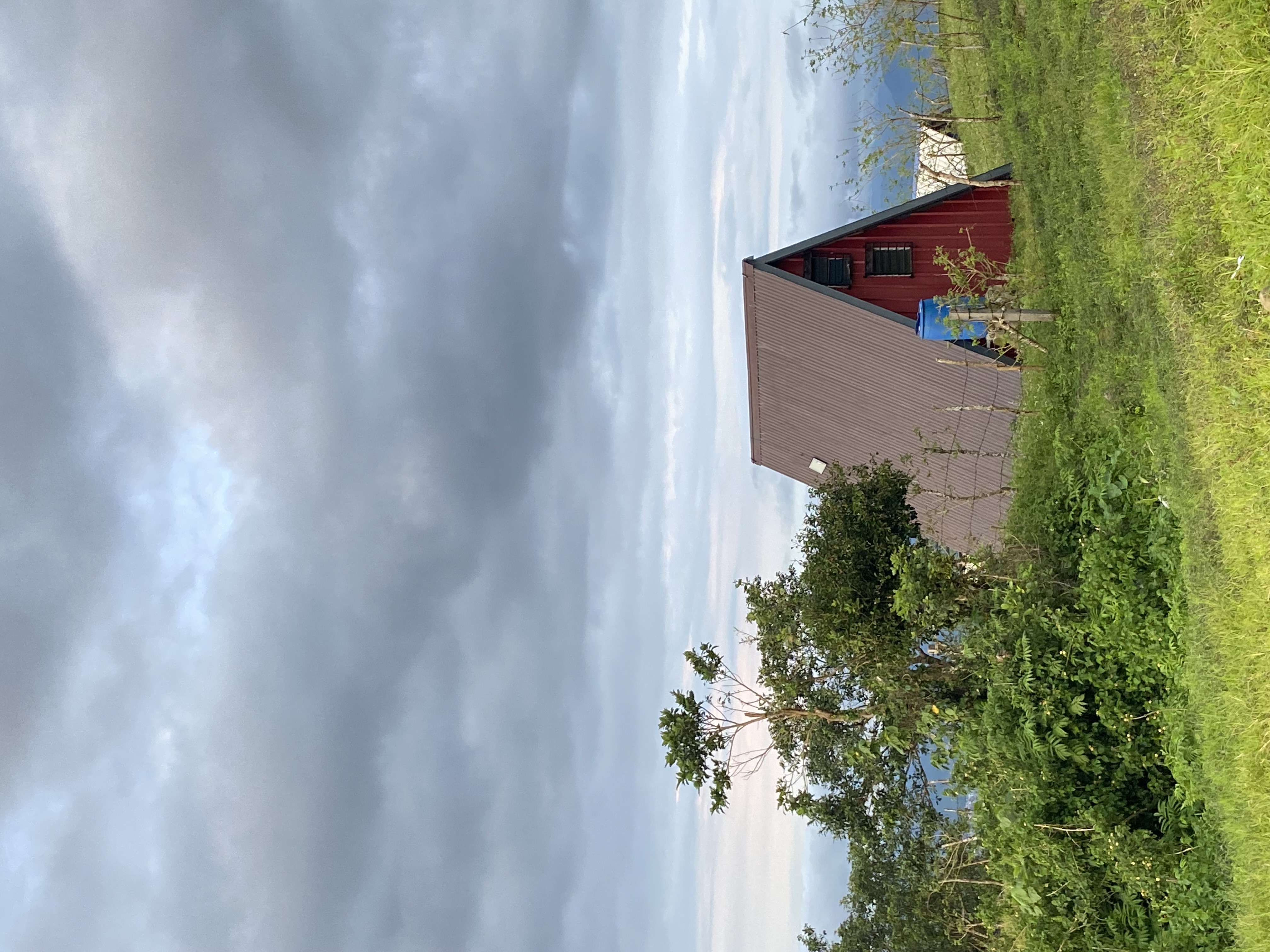 IMG_6466.jpeg