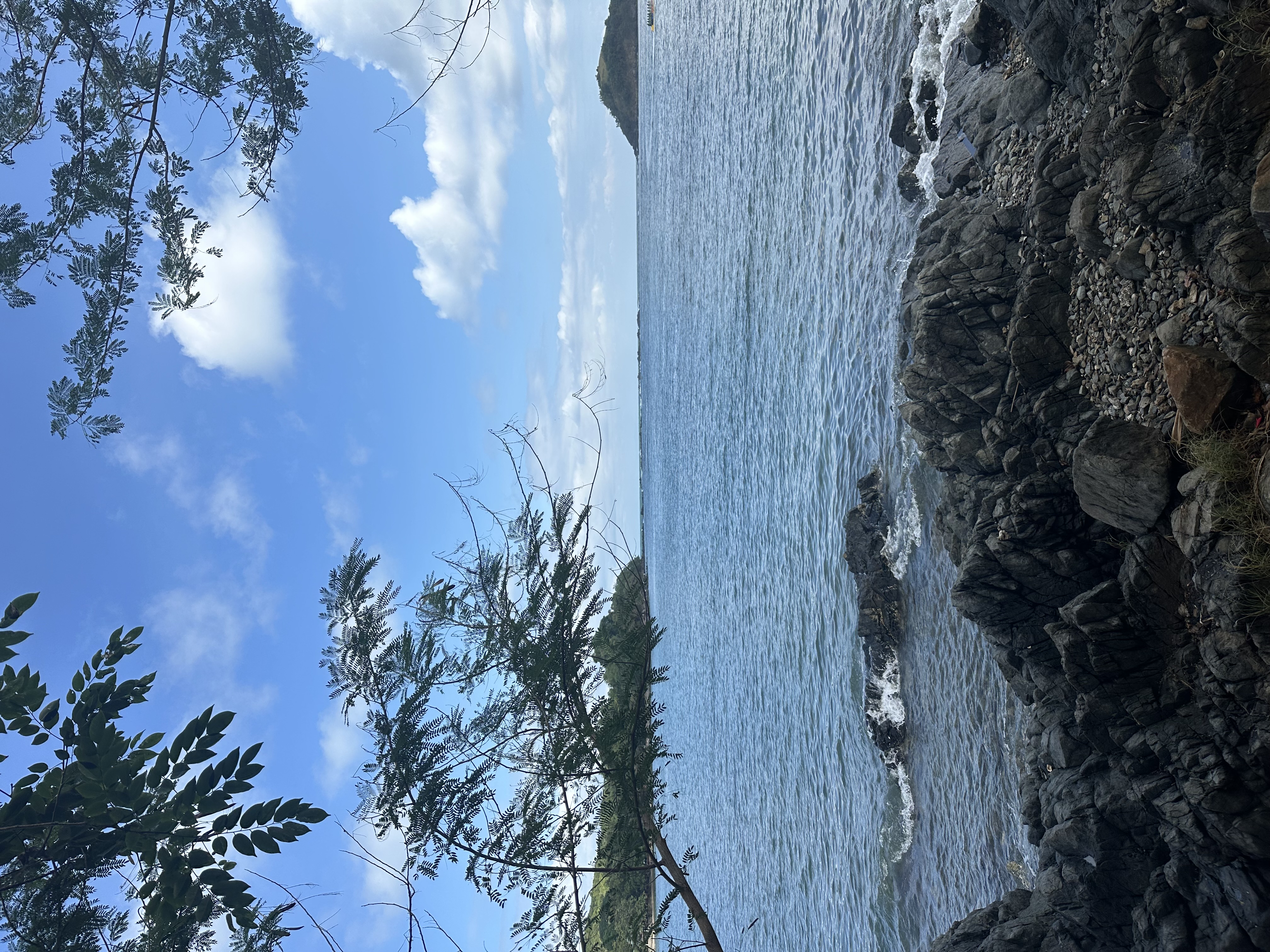IMG_4408.jpeg