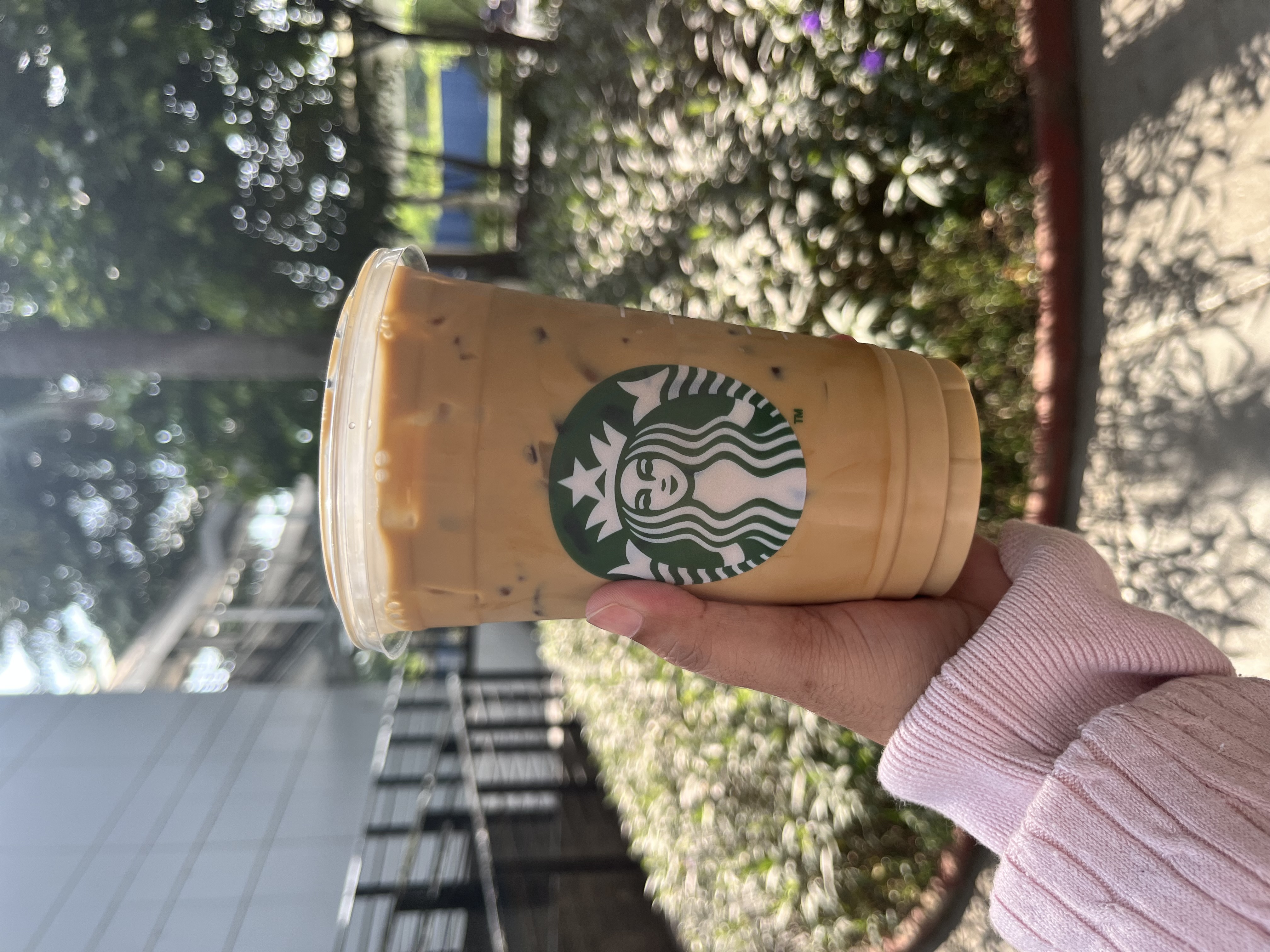 IMG_0632.jpeg