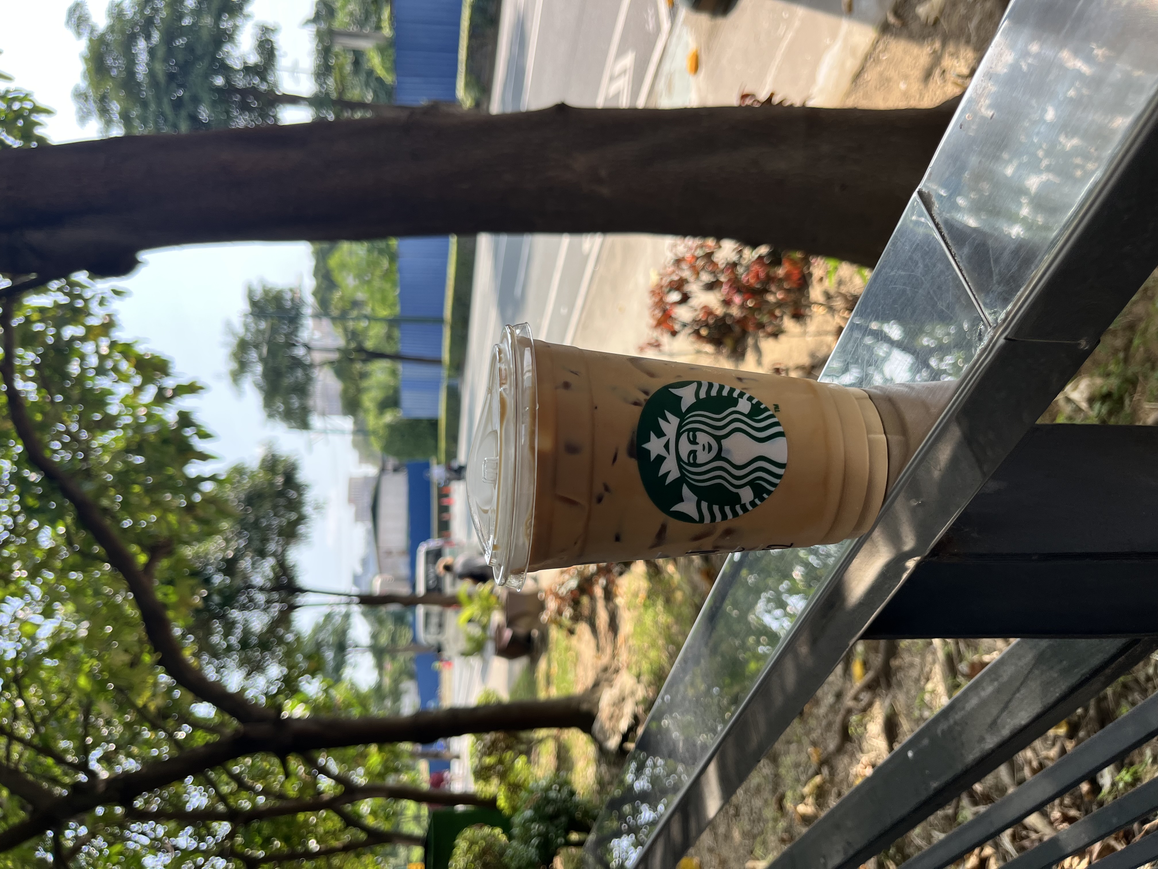 IMG_0633.jpeg