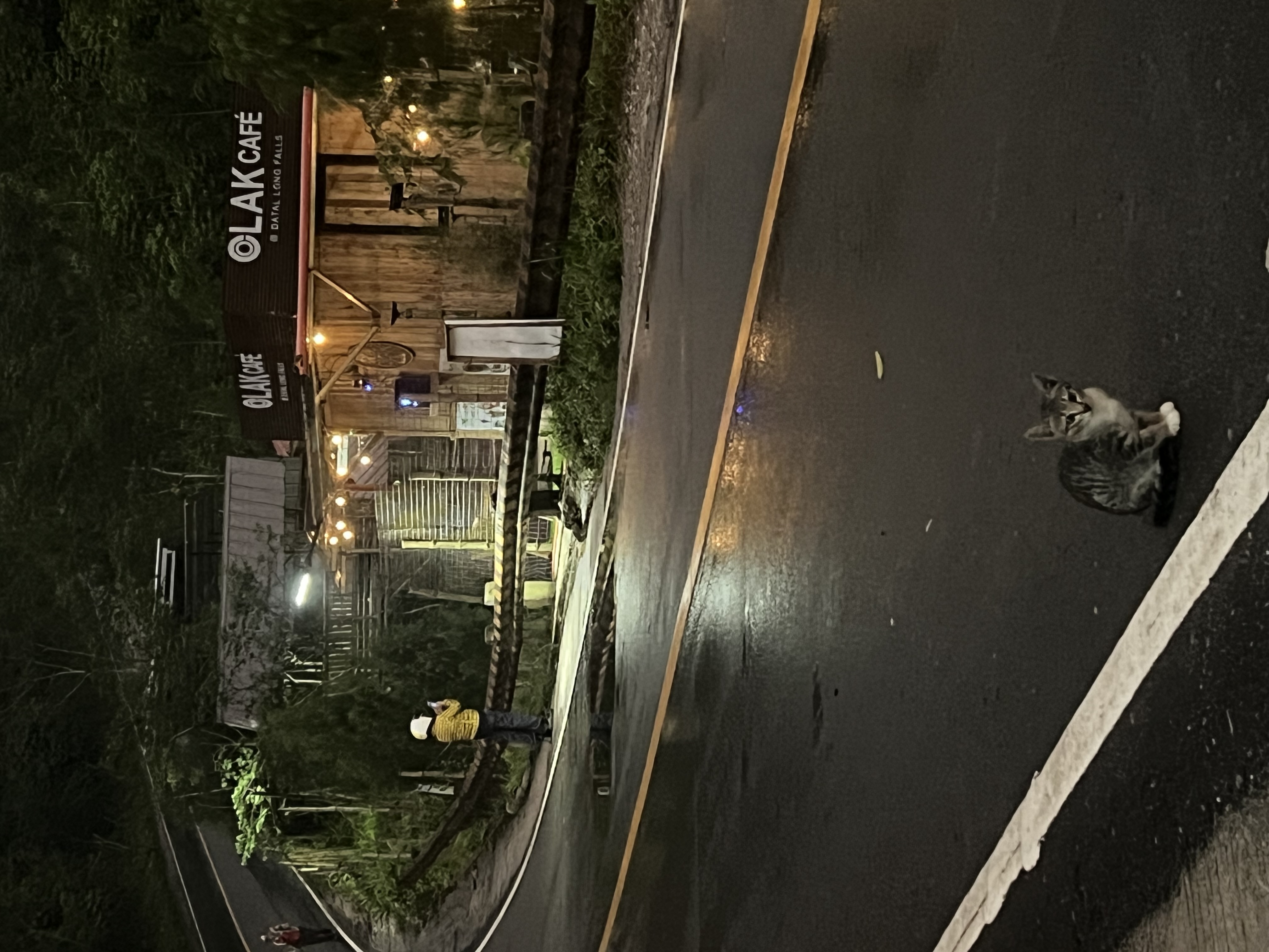 IMG_3081.jpeg