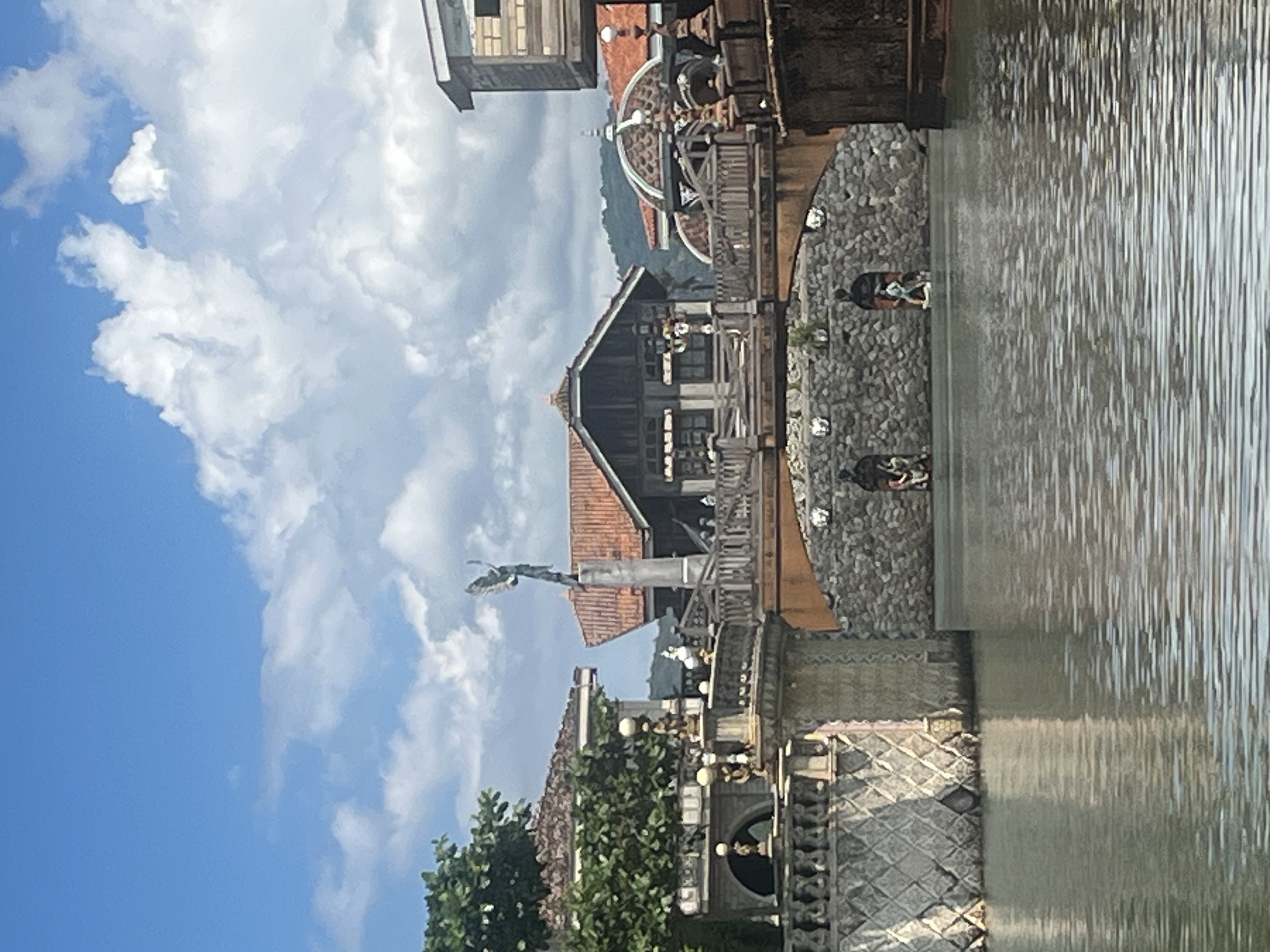 IMG_8556.jpeg