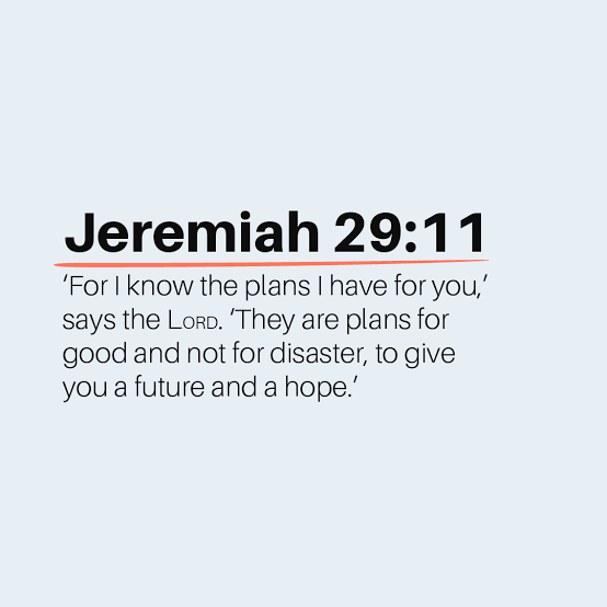 IMG_5369.png