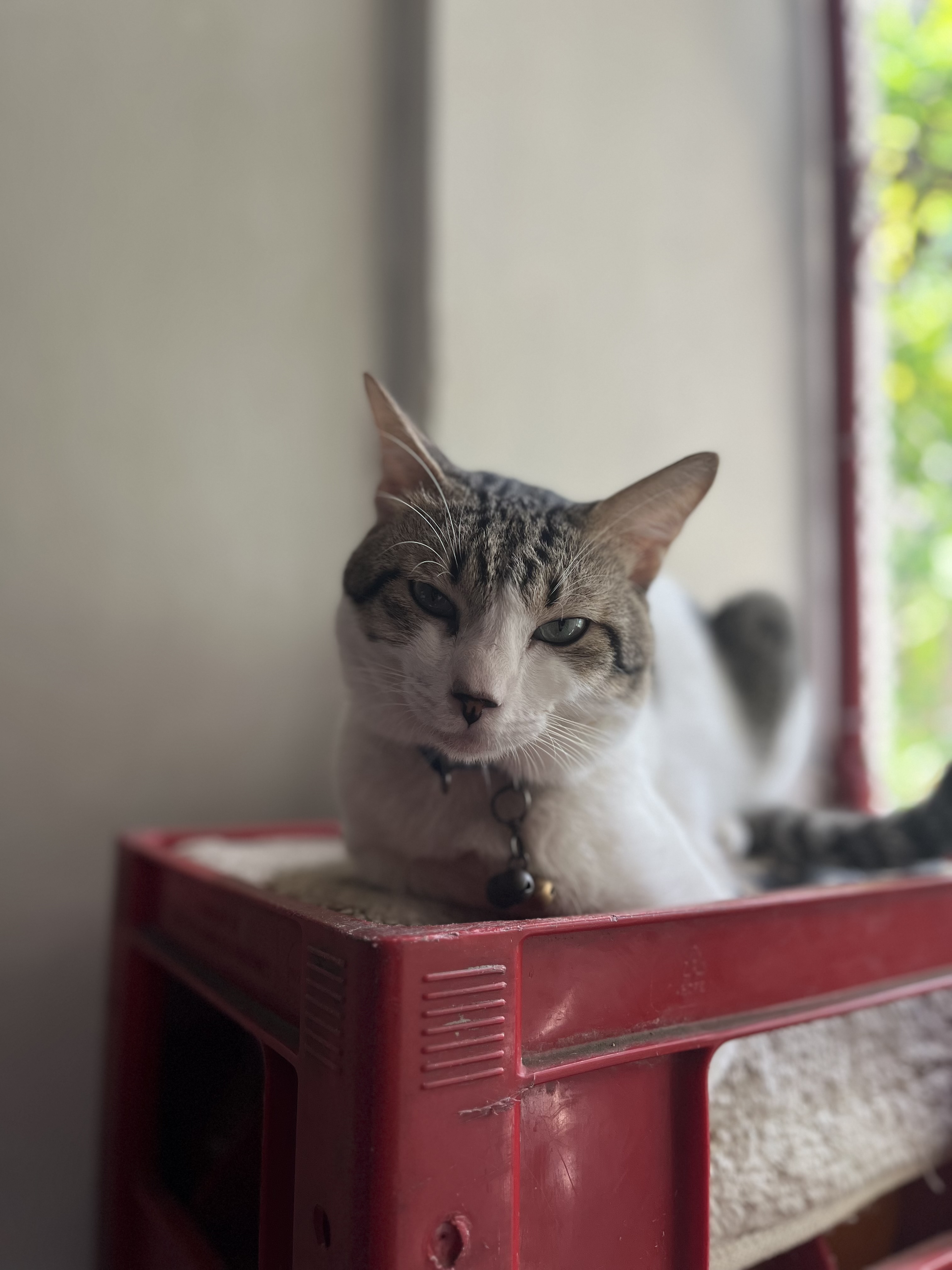 IMG_1861.jpeg