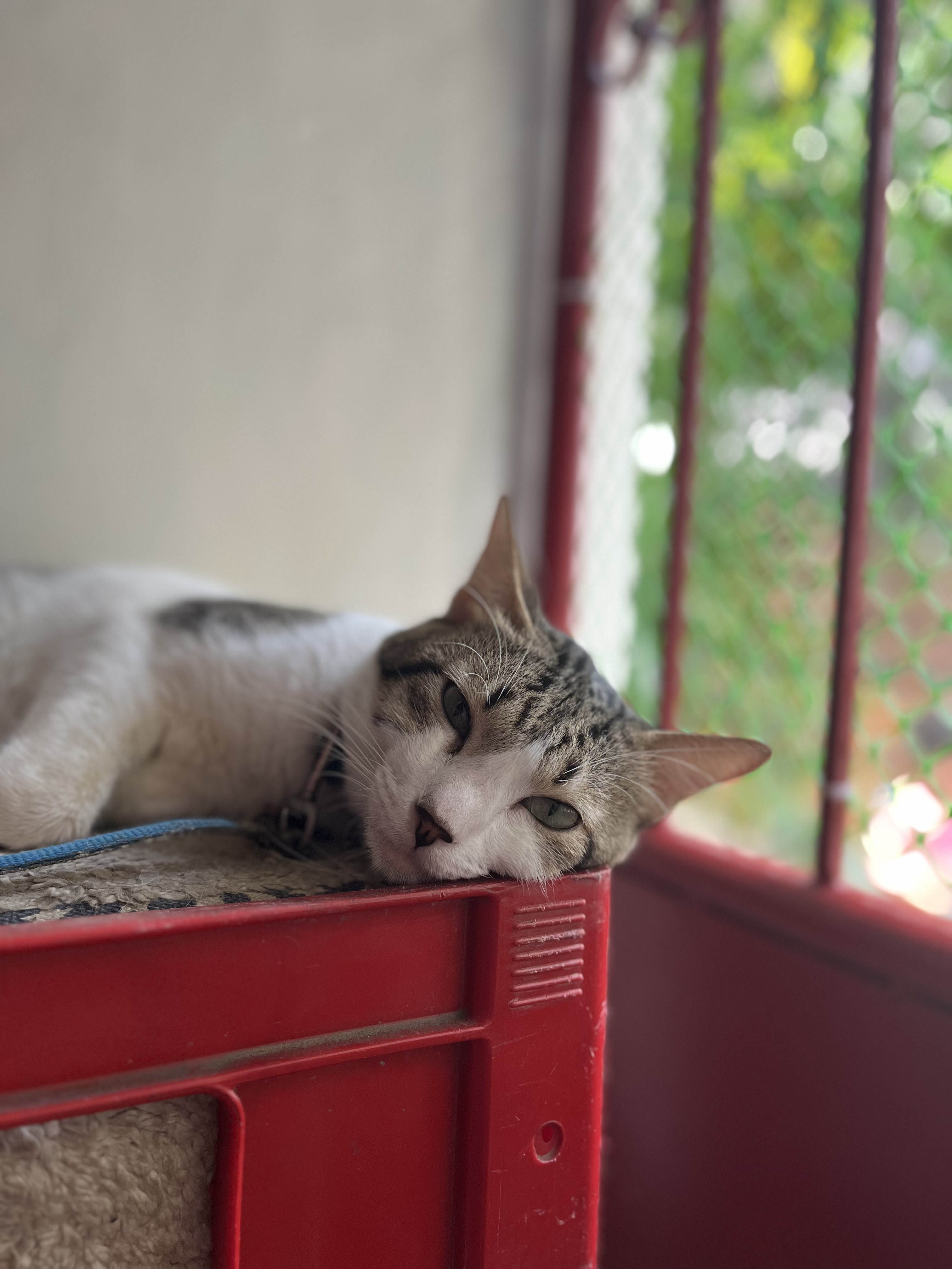 IMG_1848.jpeg