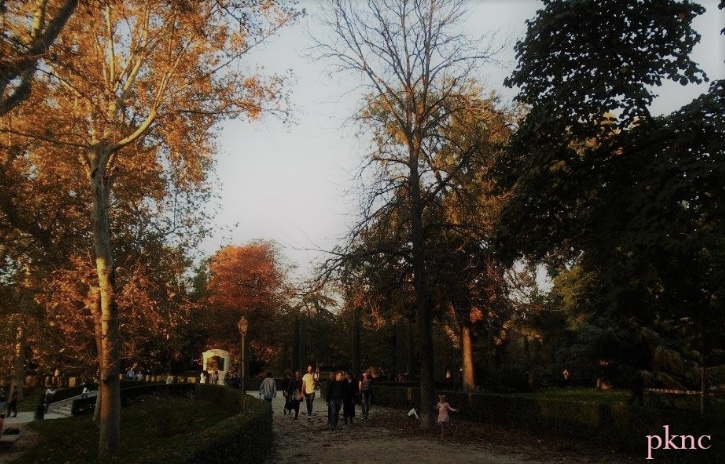 IMG_3054.jpeg