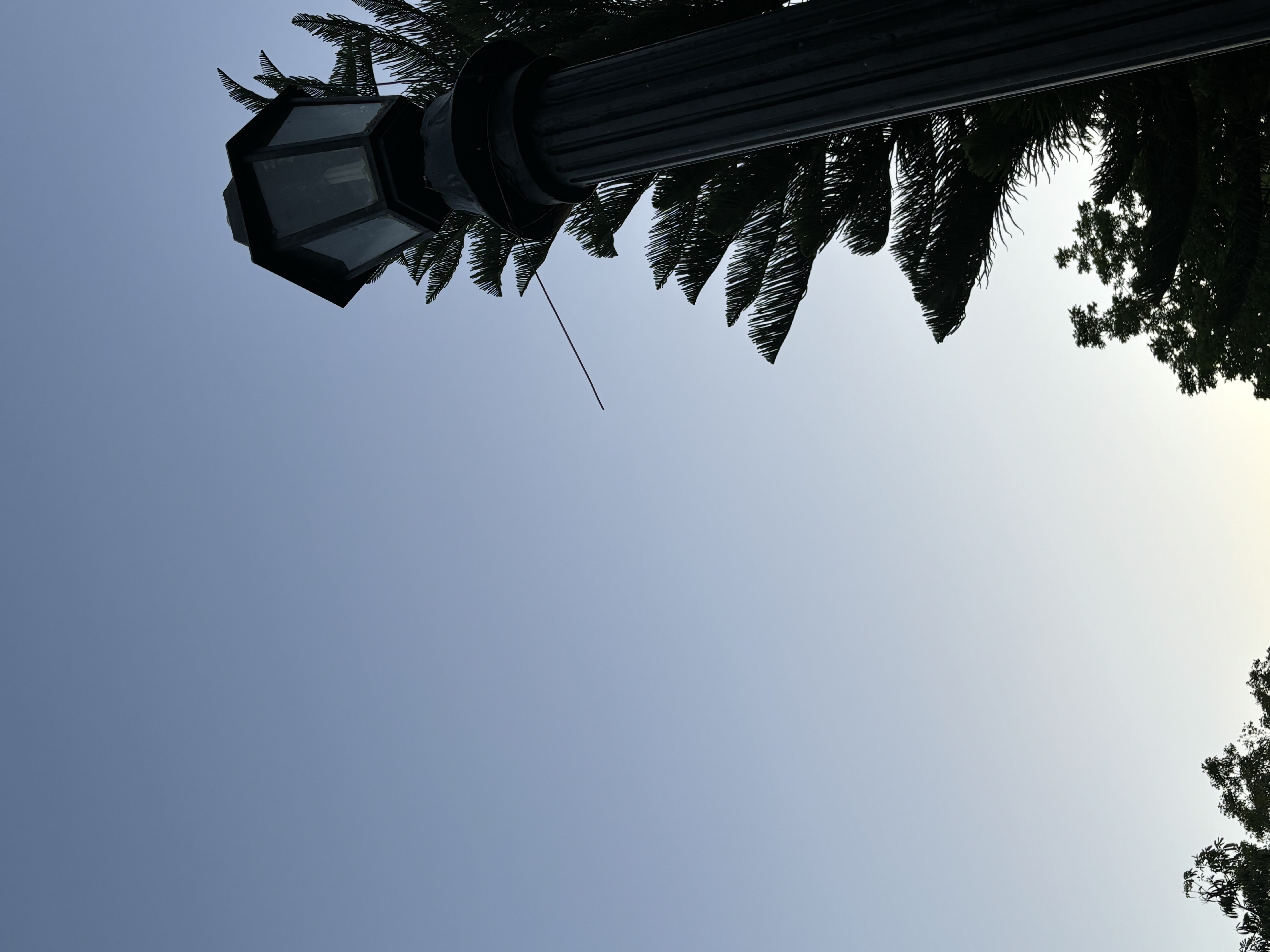 IMG_2721.jpeg