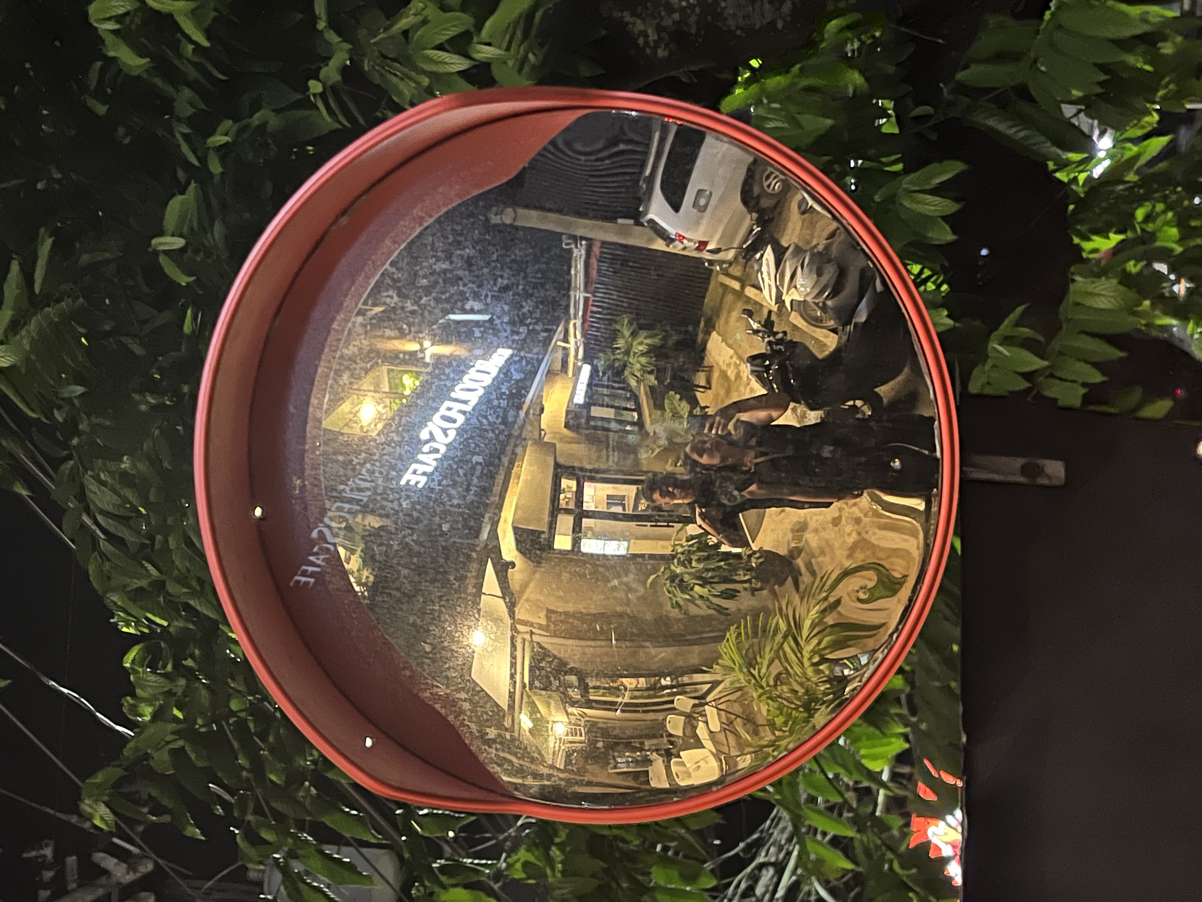 IMG_0950.jpeg