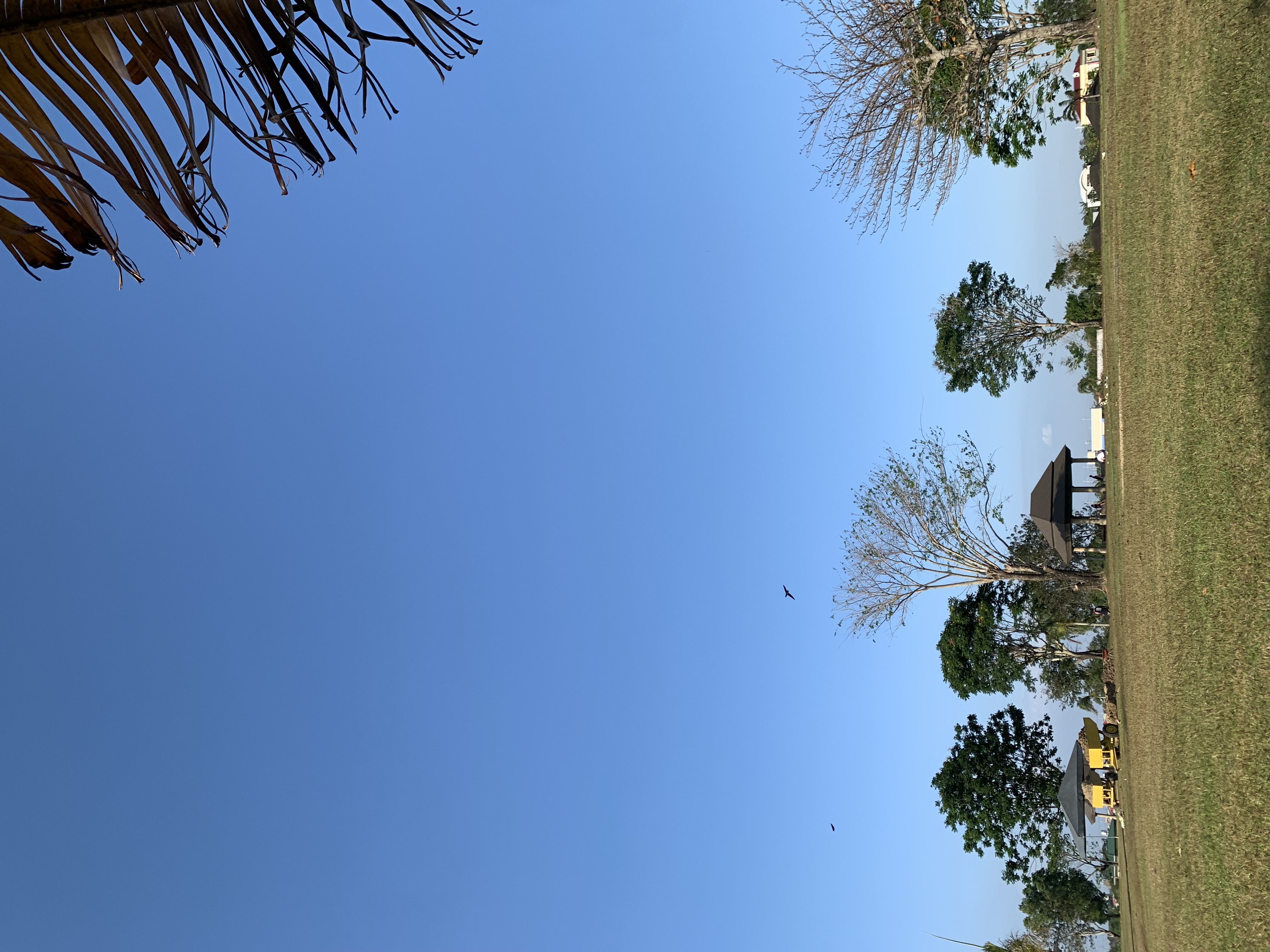 IMG_0798.jpeg
