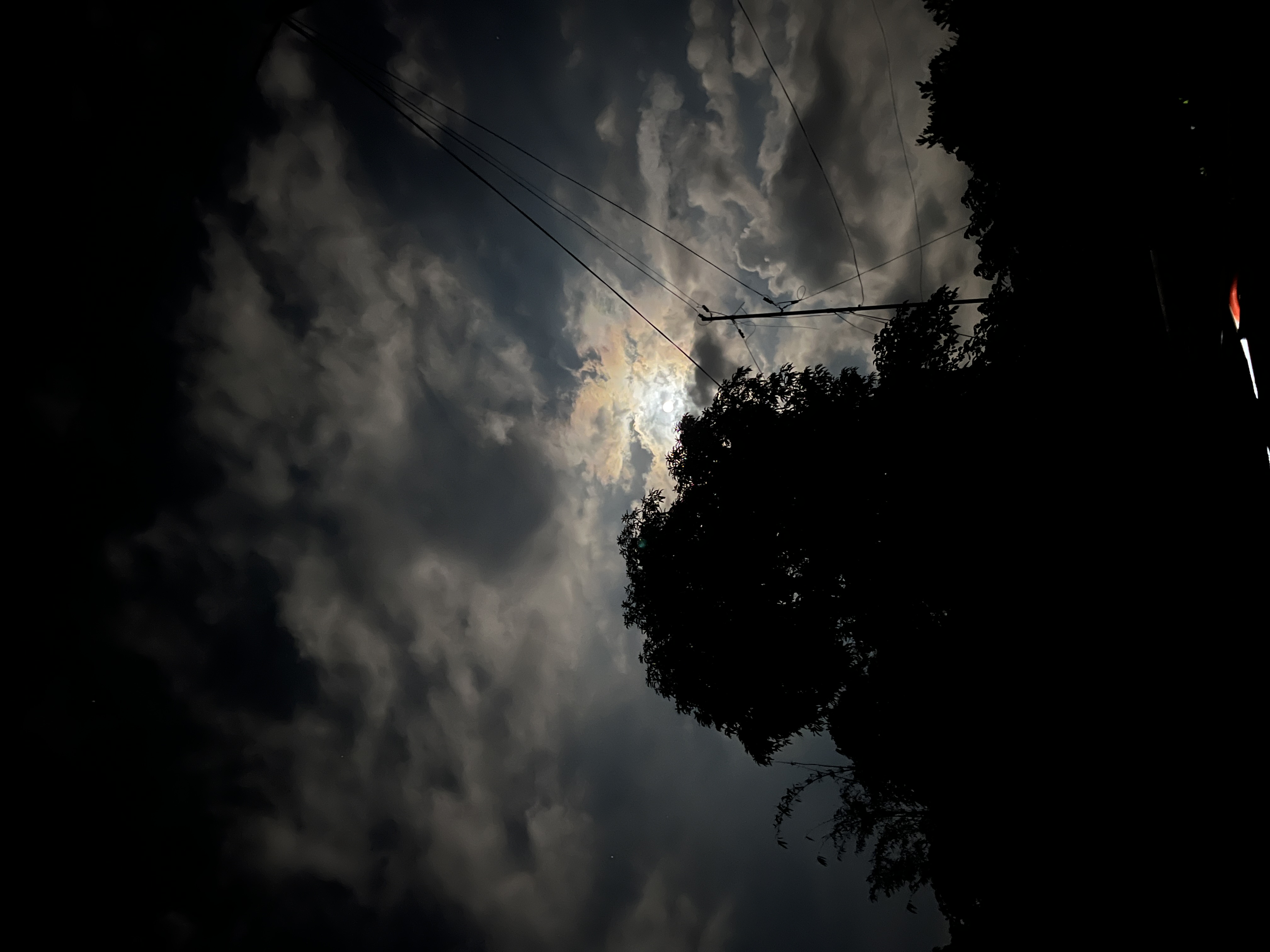 IMG_5119.jpeg