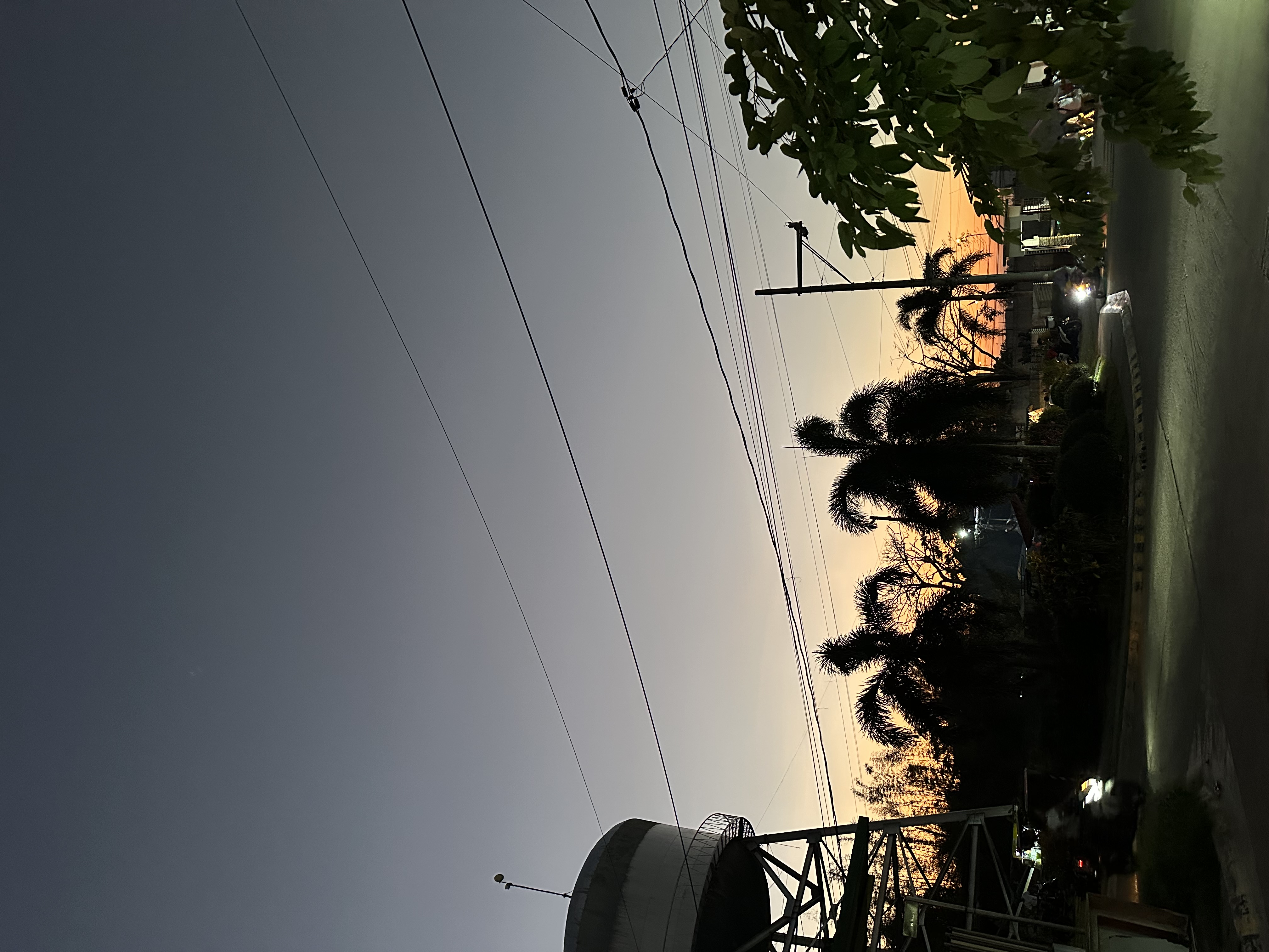 IMG_2090.jpeg