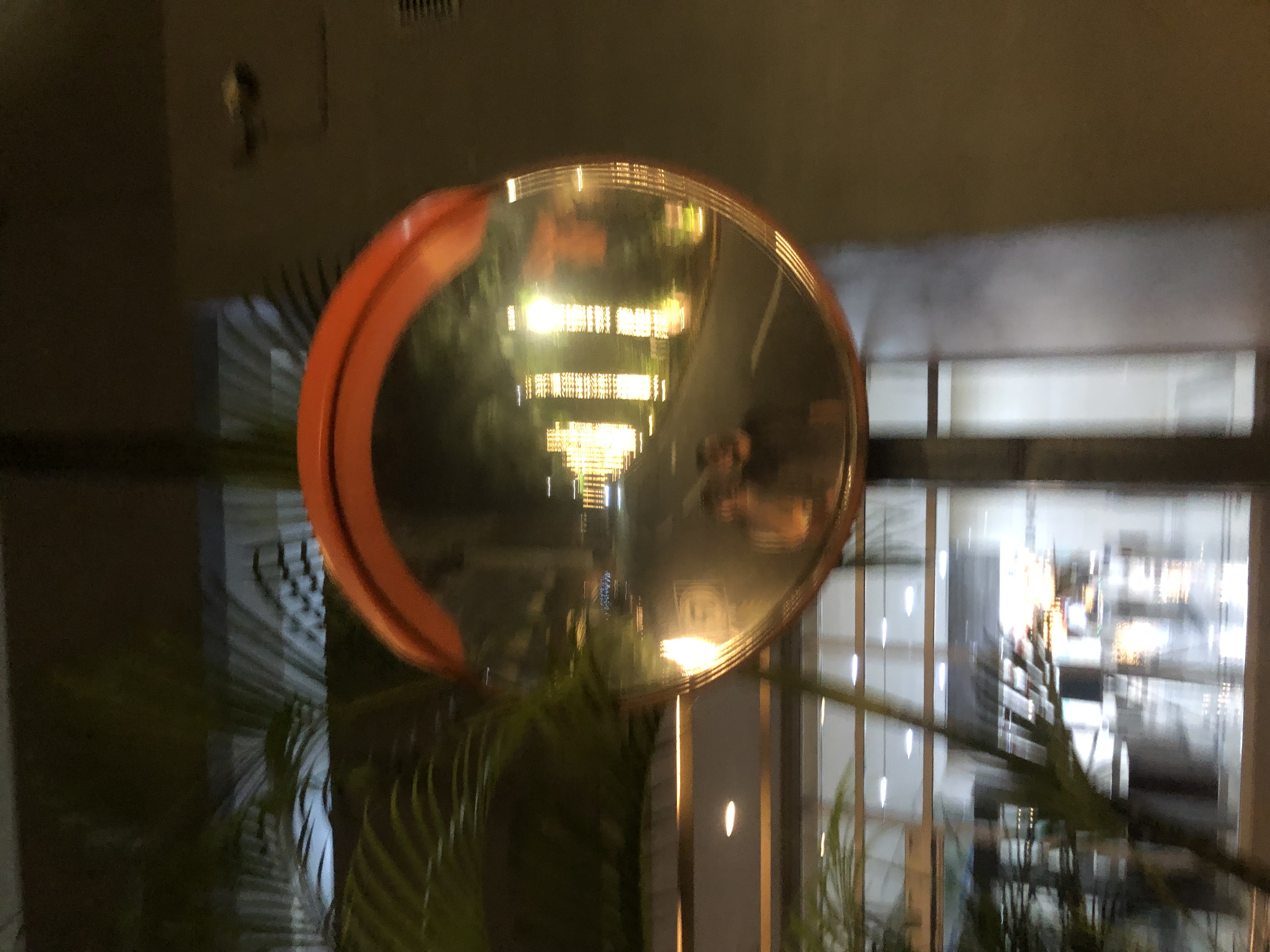 IMG_8417.jpeg