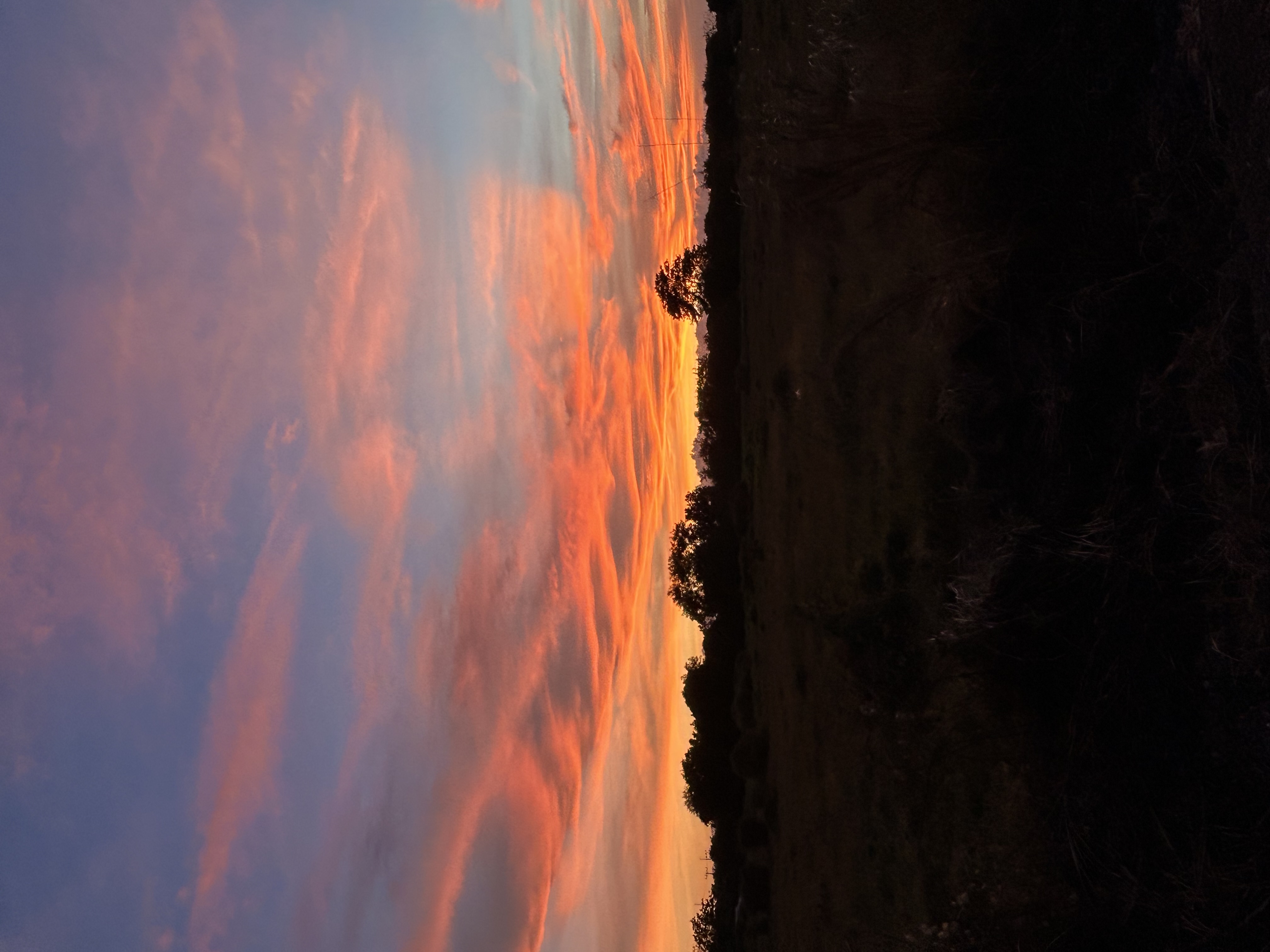 IMG_2136.jpeg
