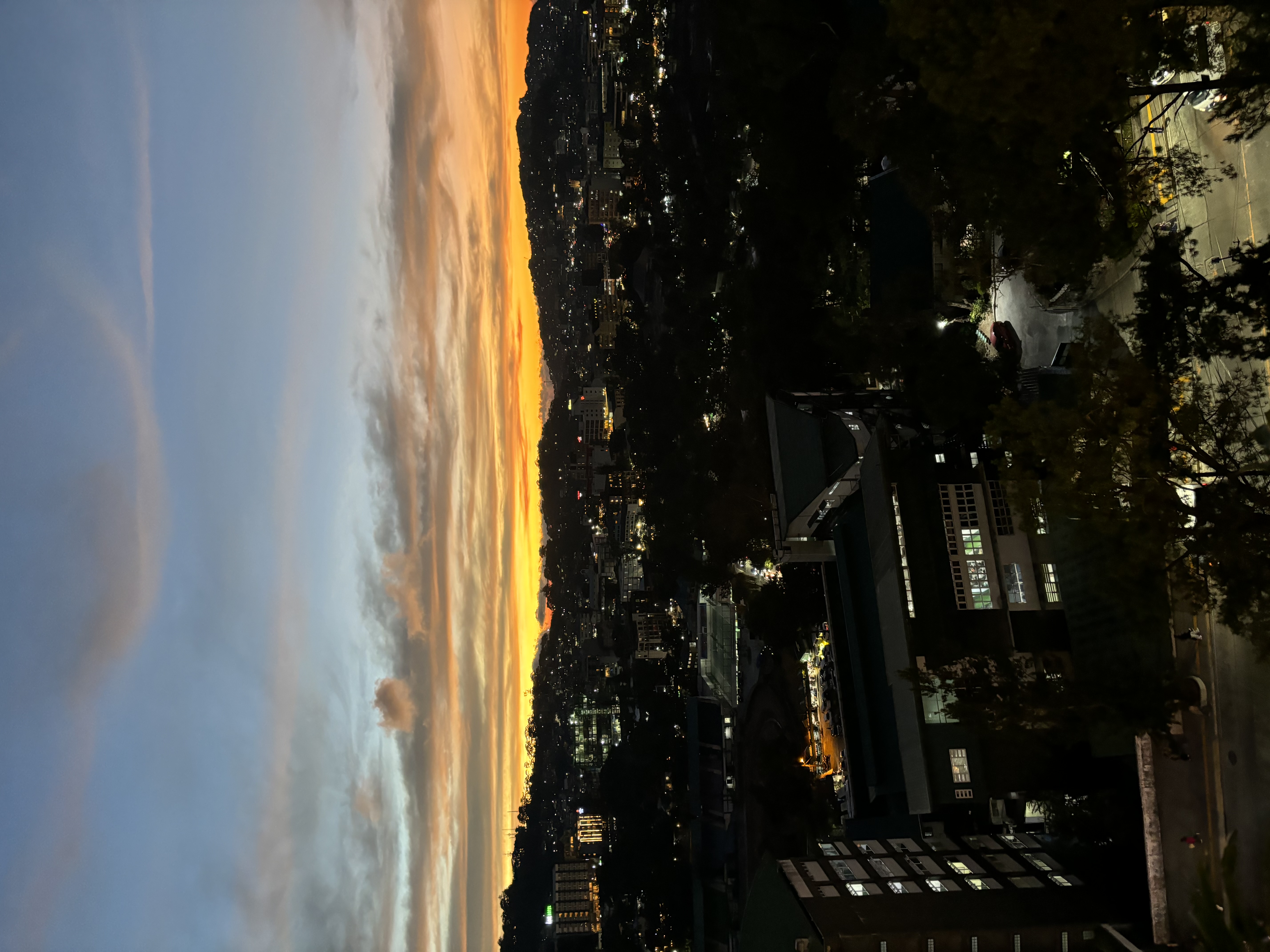 IMG_7382.jpeg