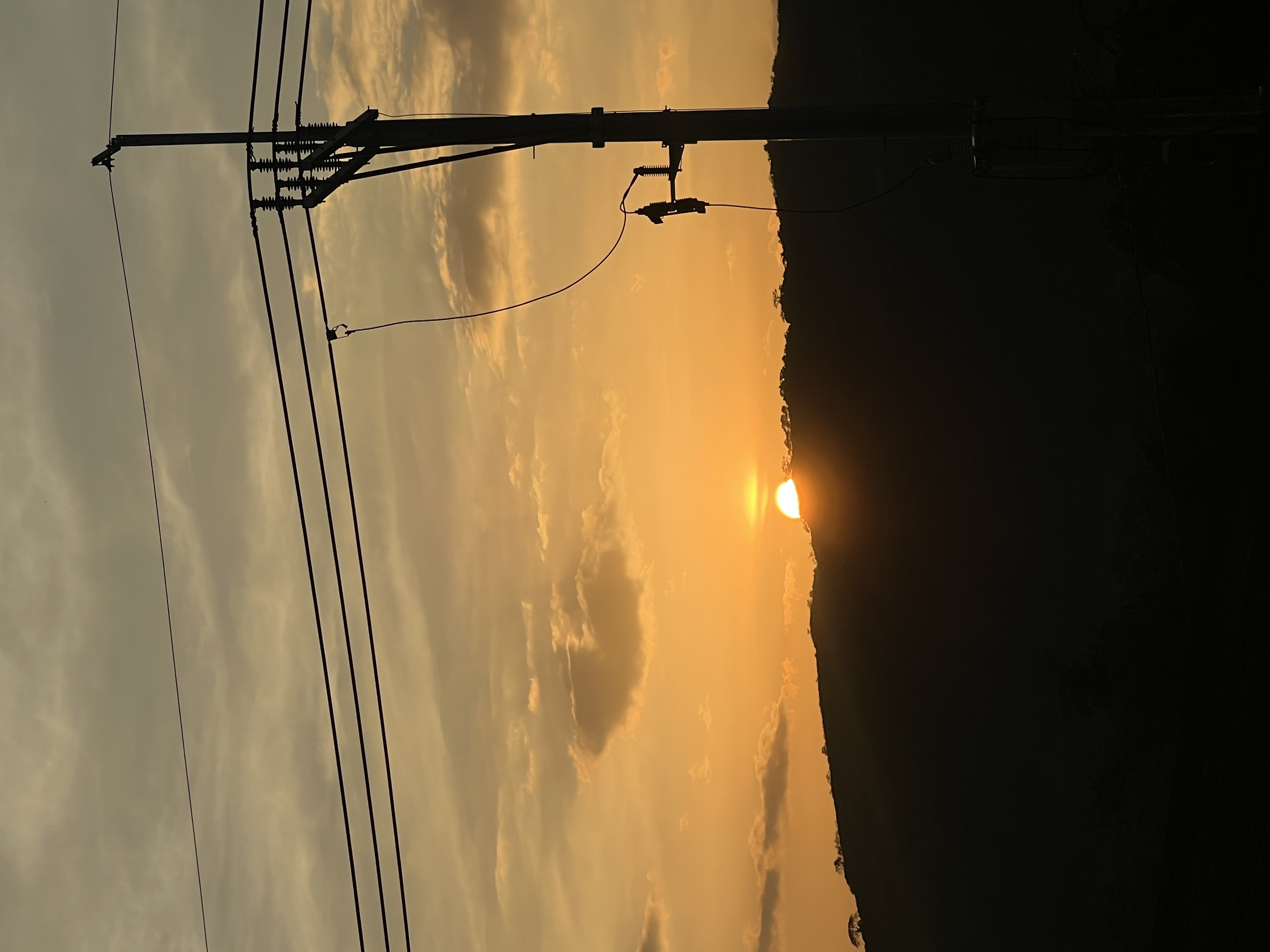 IMG_3288.jpeg