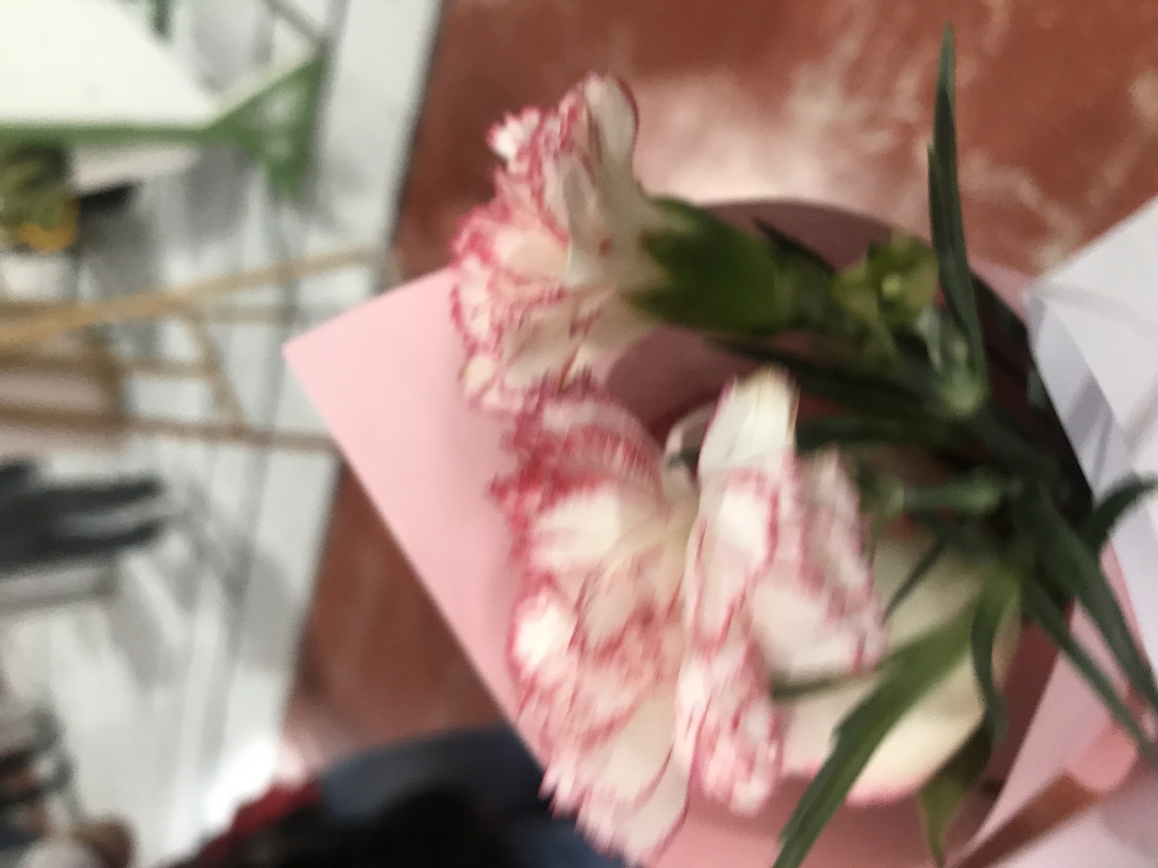 3C643B83-D28D-416D-A8BD-32519D56814B.jpeg