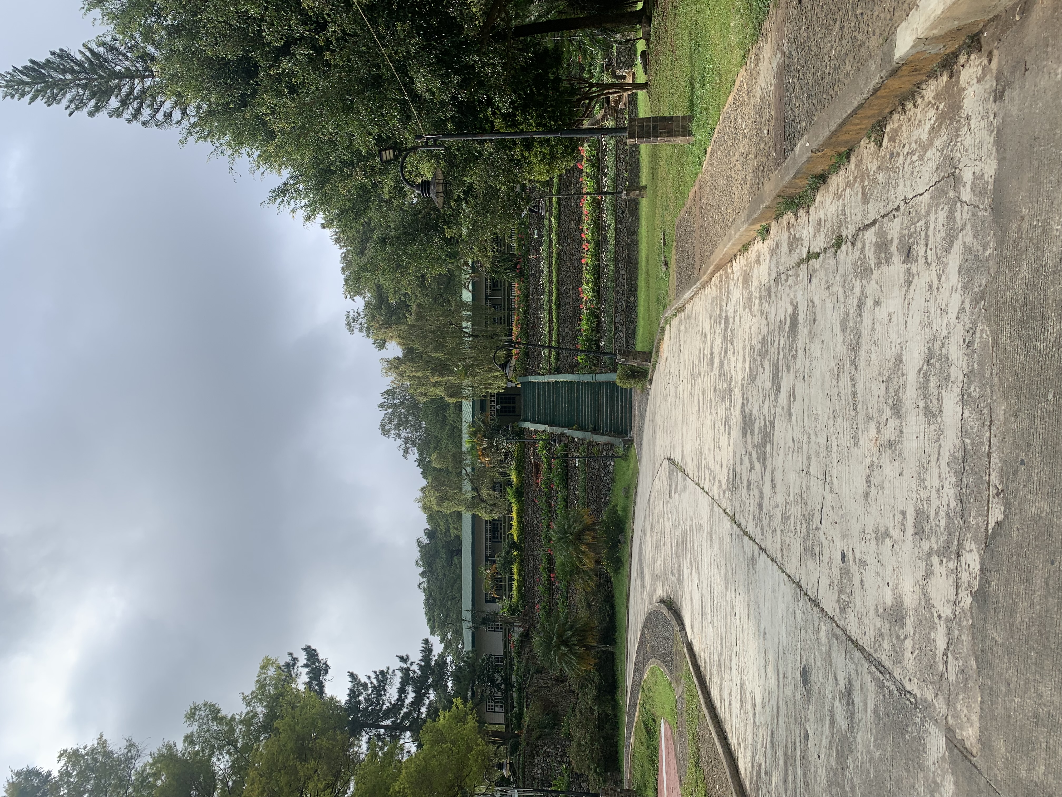 IMG_3528.jpeg