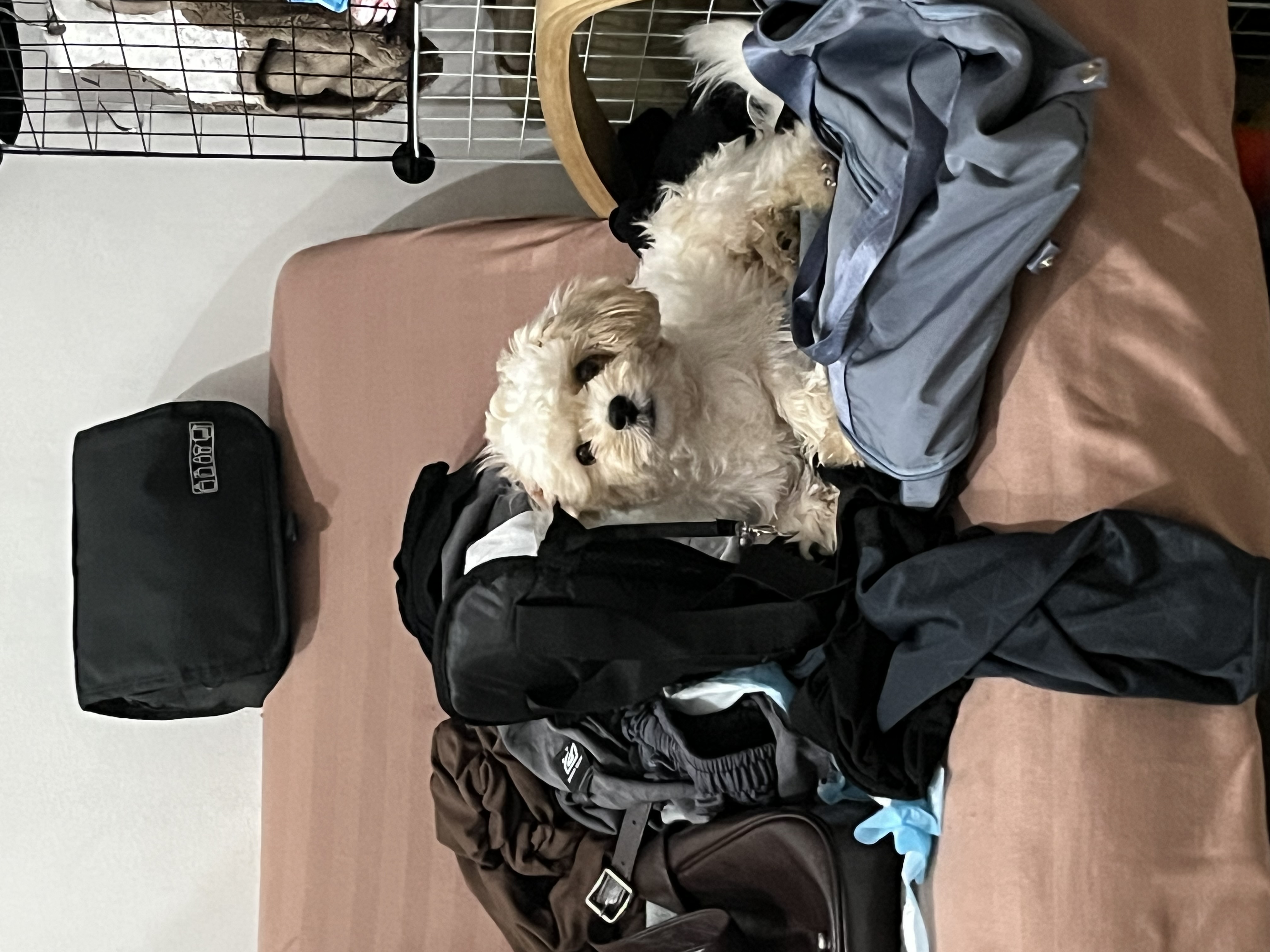 IMG_9302.jpeg