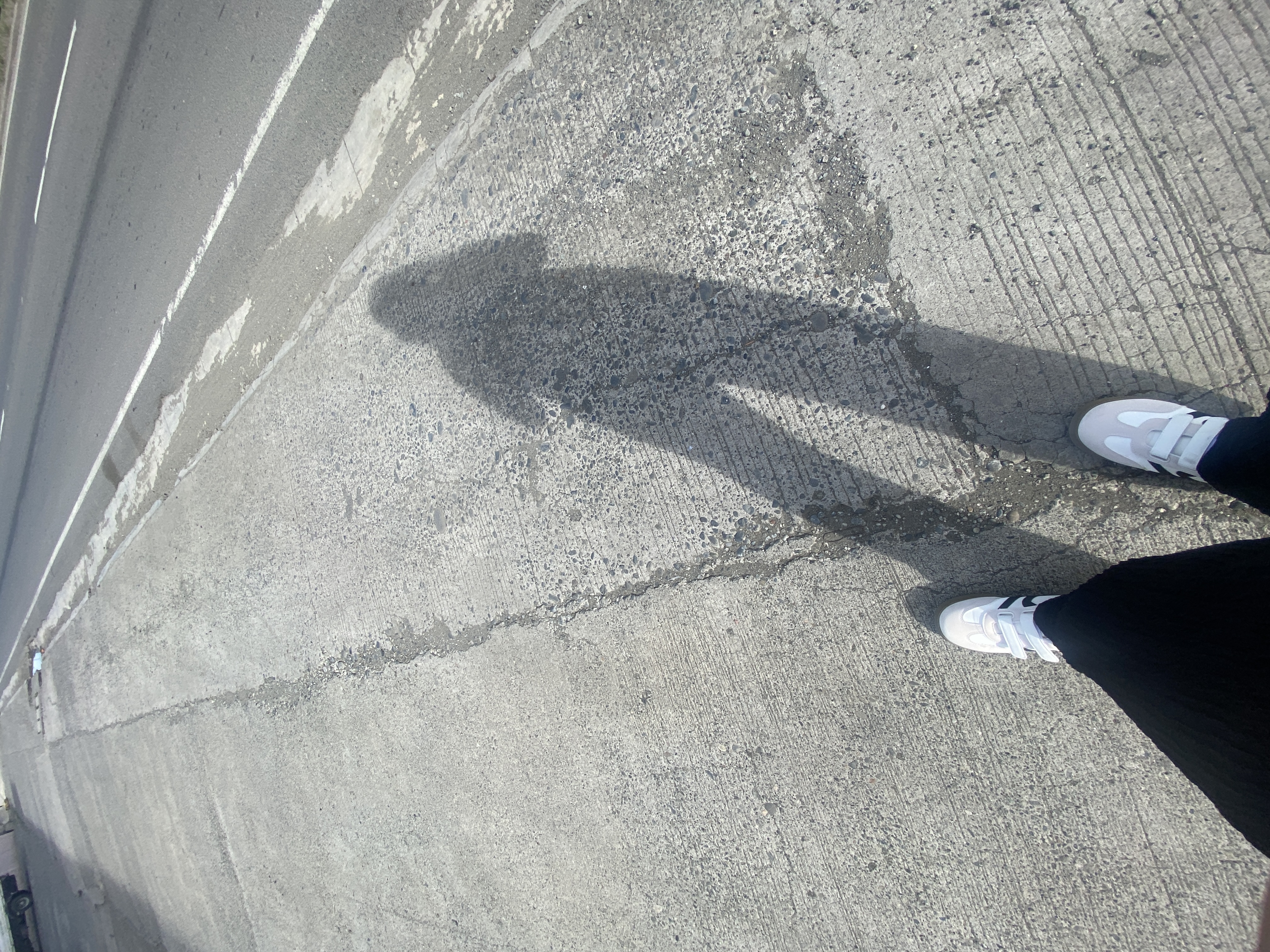 IMG_8910.jpeg