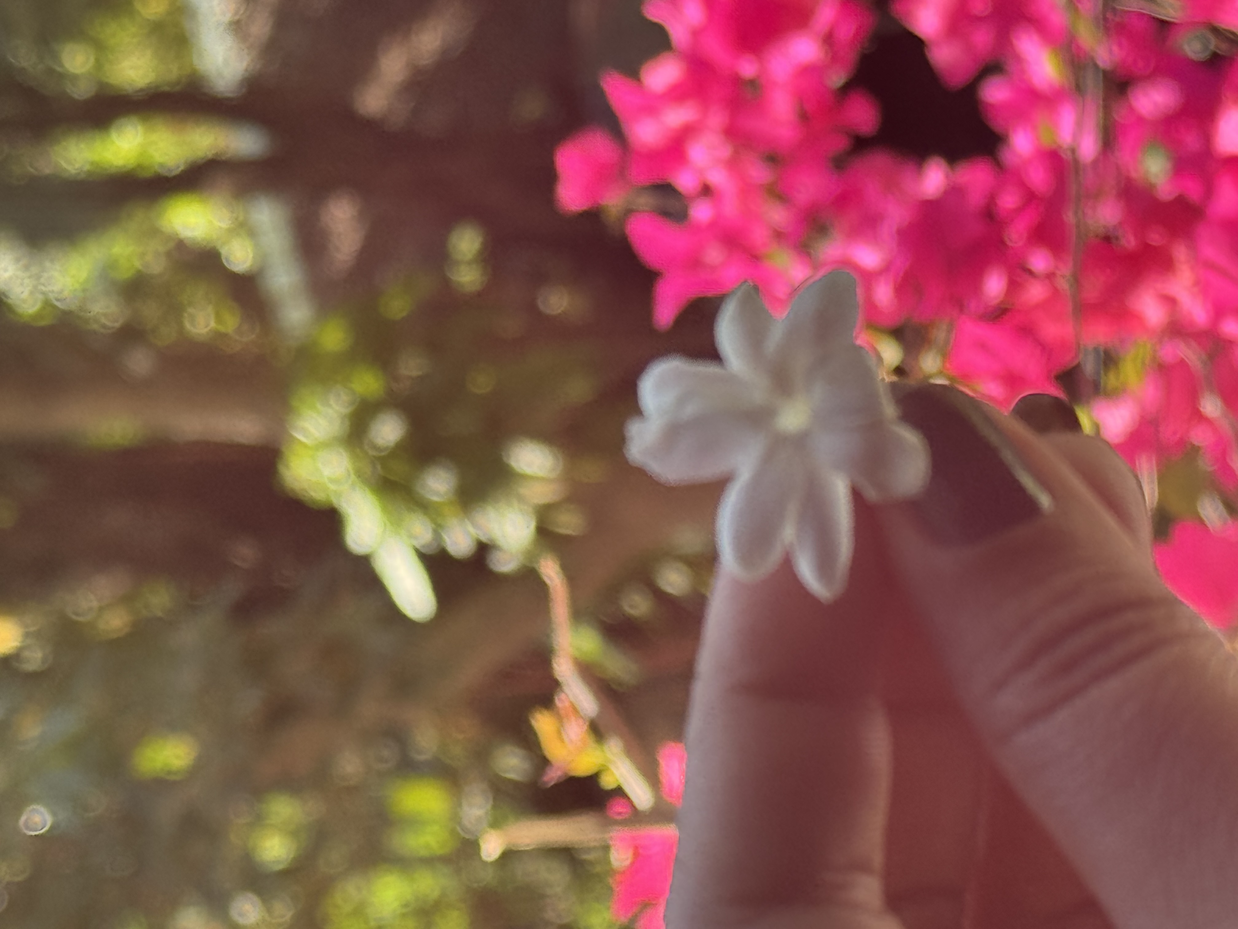 IMG_0459.jpeg