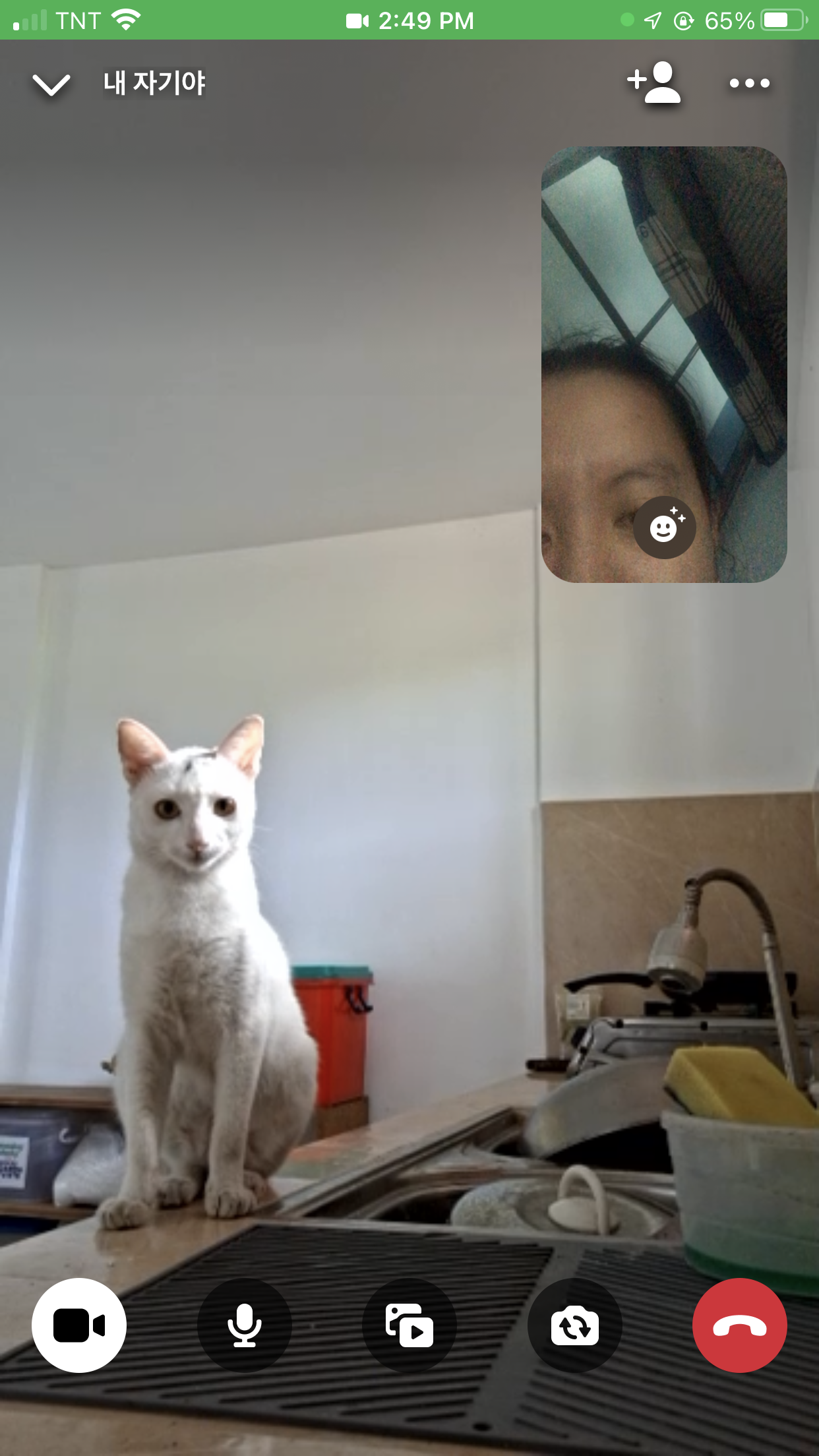F88D36F8-B9FB-4EEA-94E4-98C930D97367.png