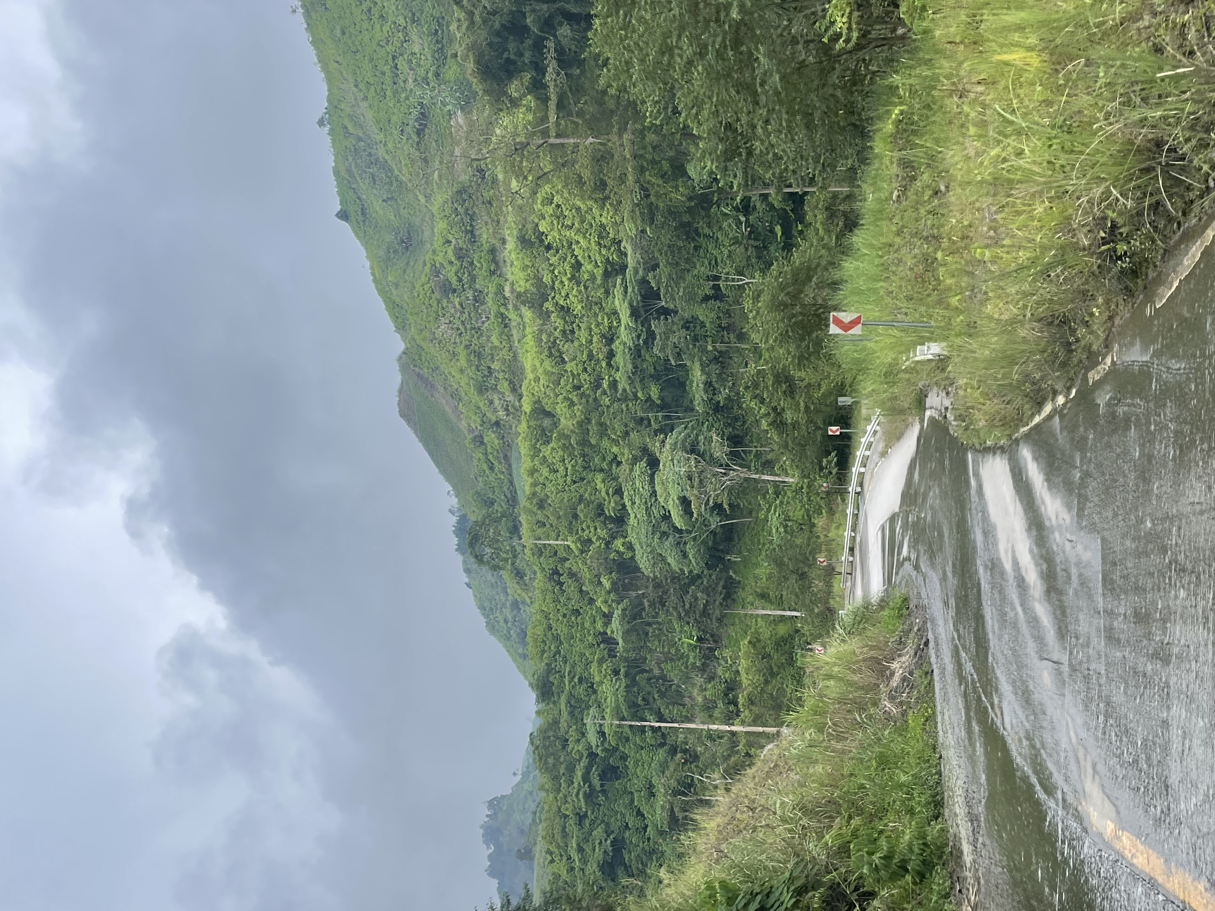 IMG_0521.jpeg