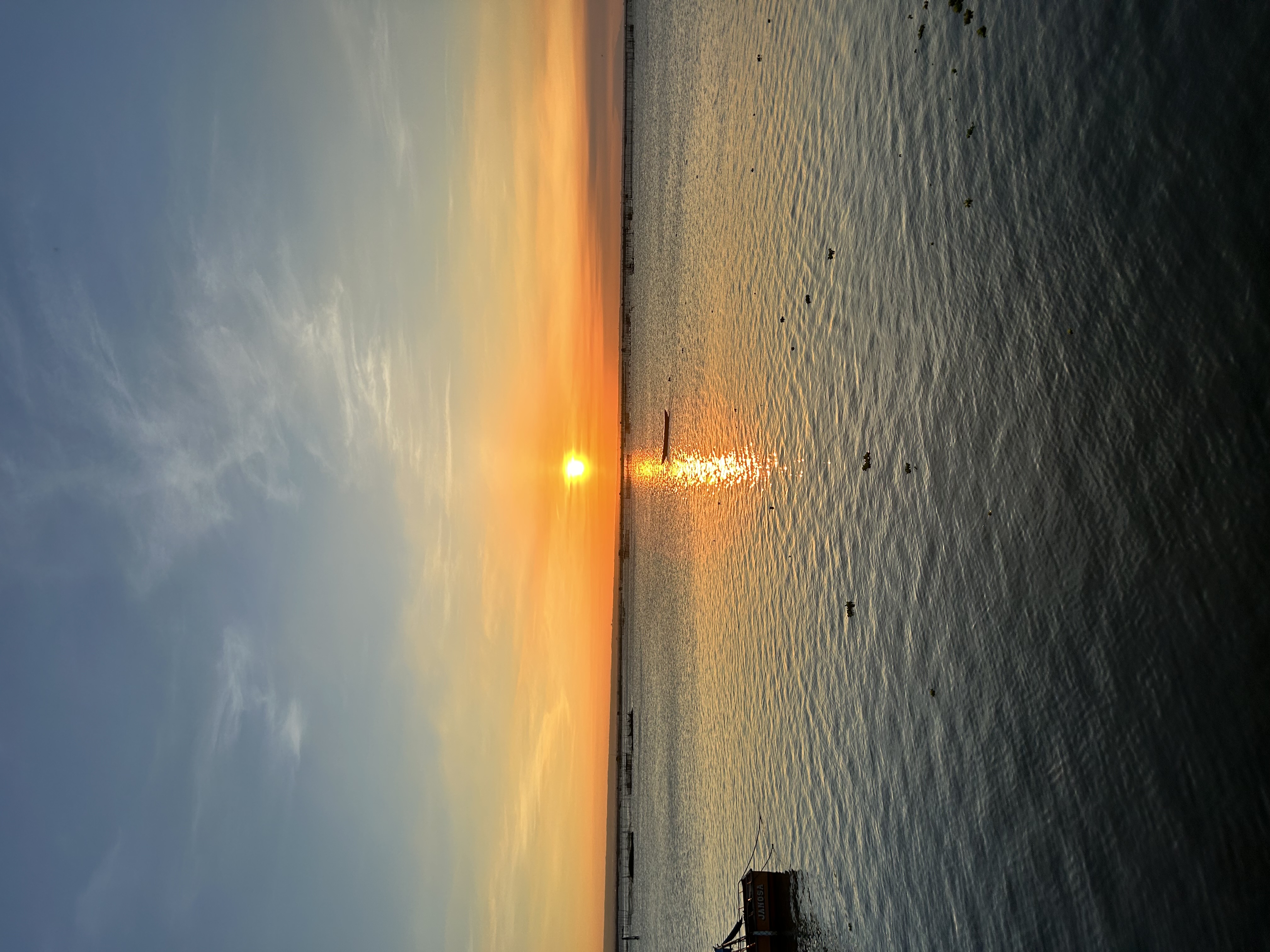 IMG_7936.jpeg