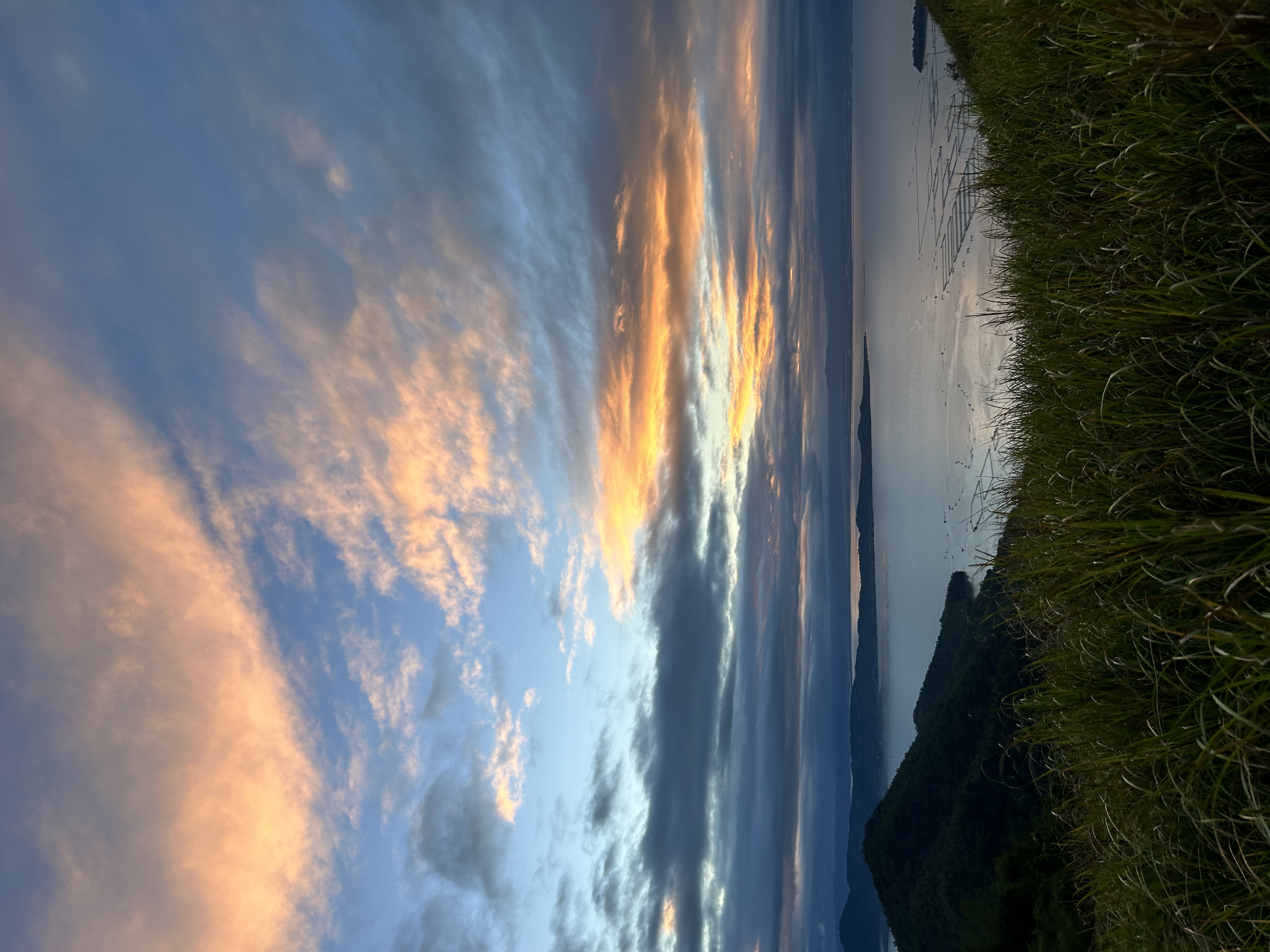 IMG_7966.jpeg