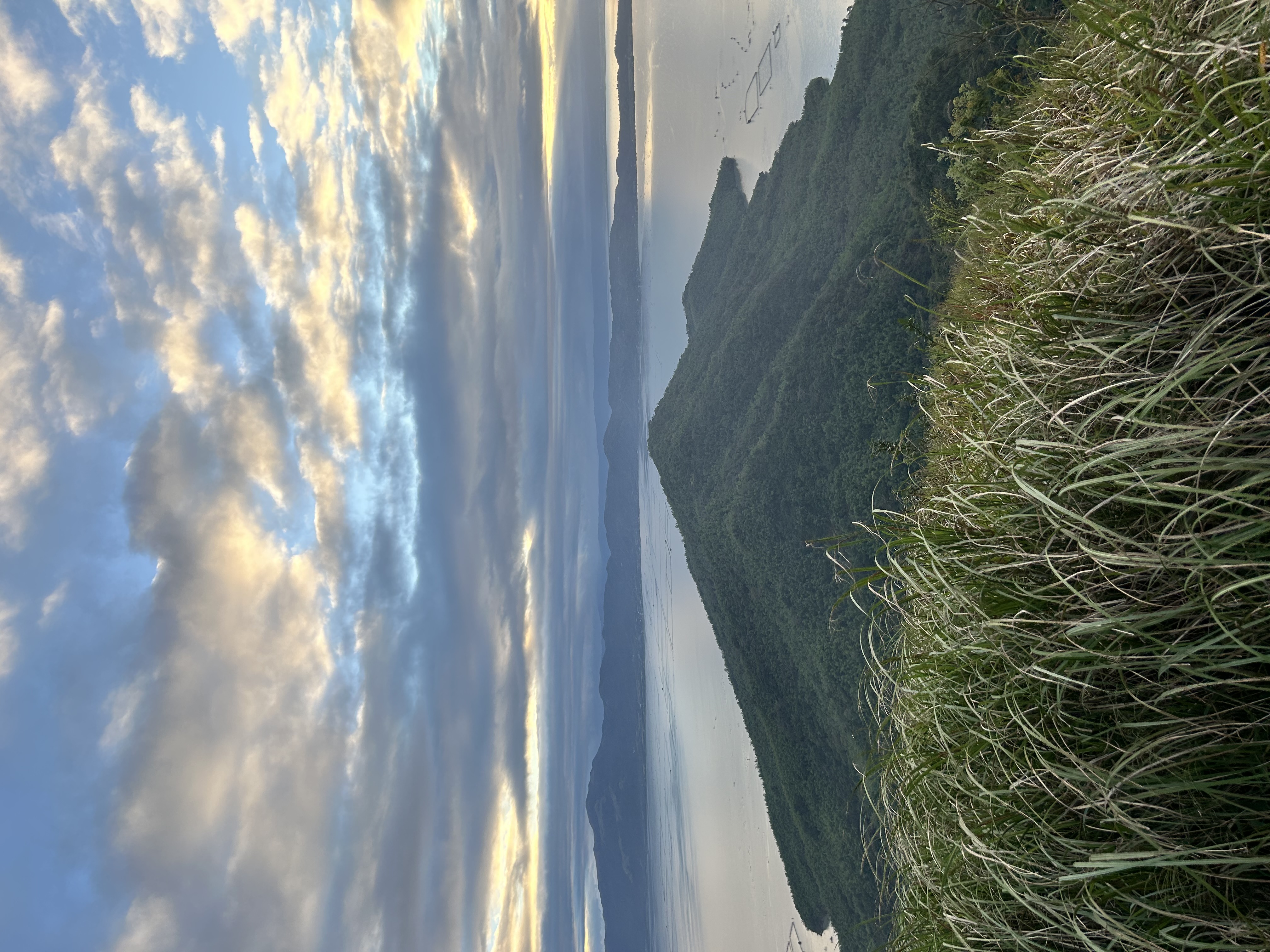 IMG_7977.jpeg