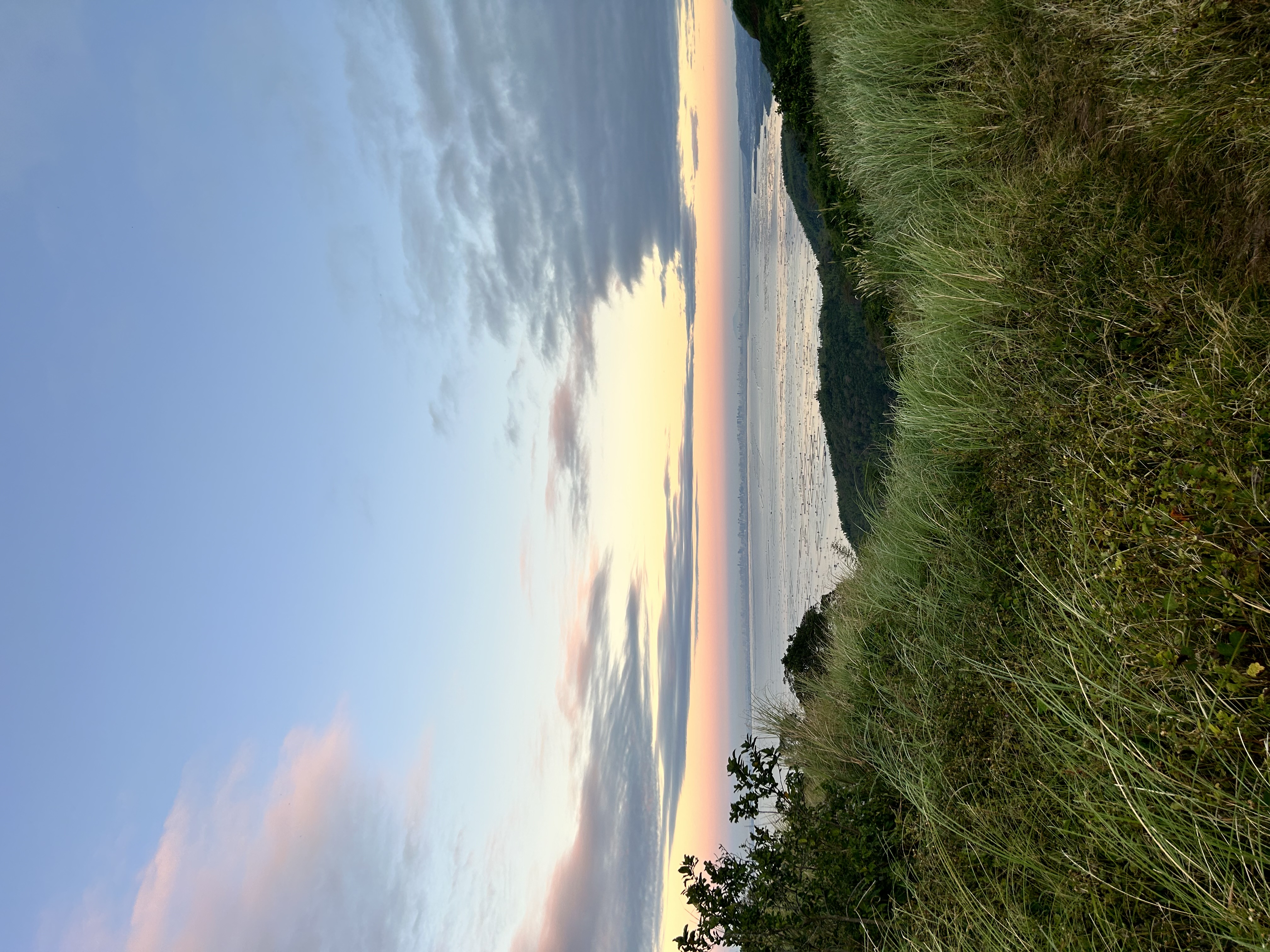IMG_7963.jpeg