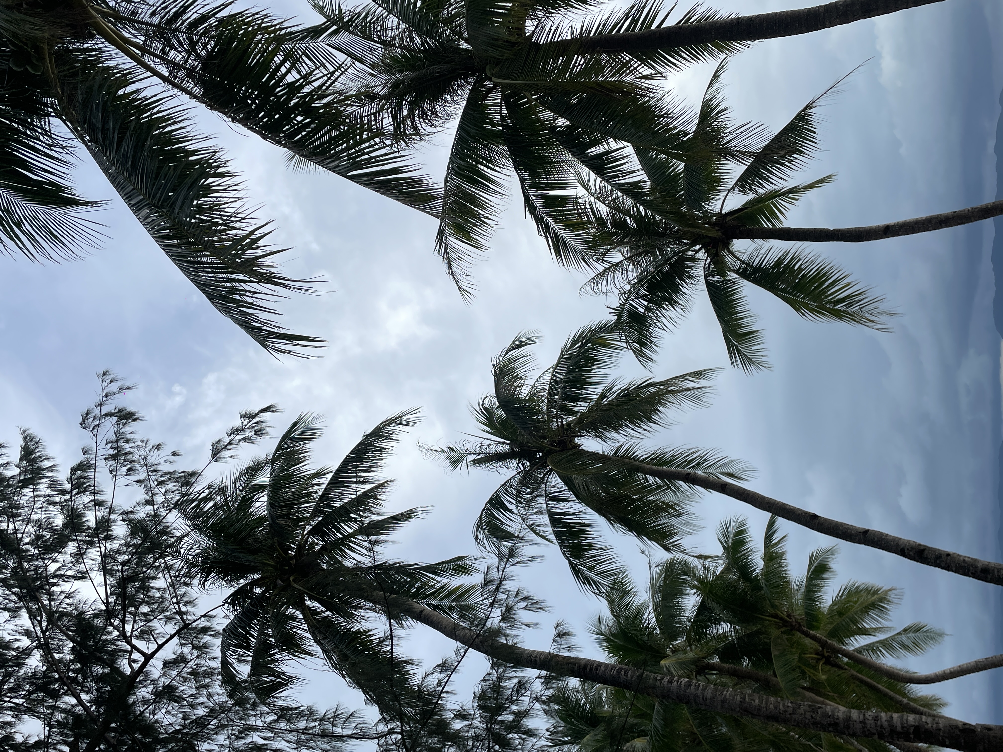 IMG_5380.jpeg