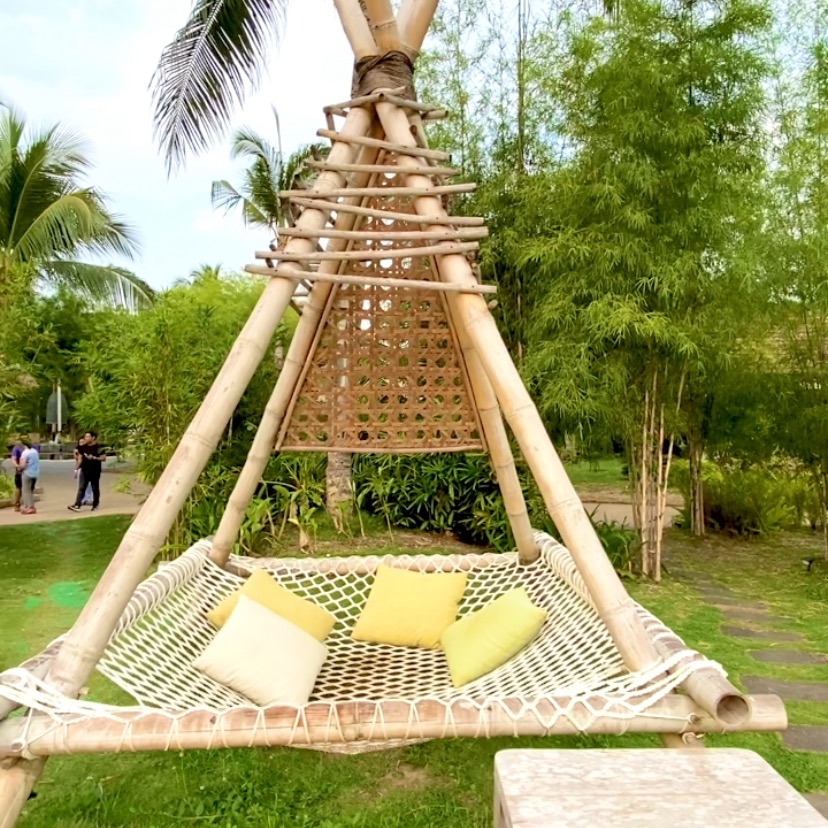 rayover_2026-03-03T01:48:05.824Z