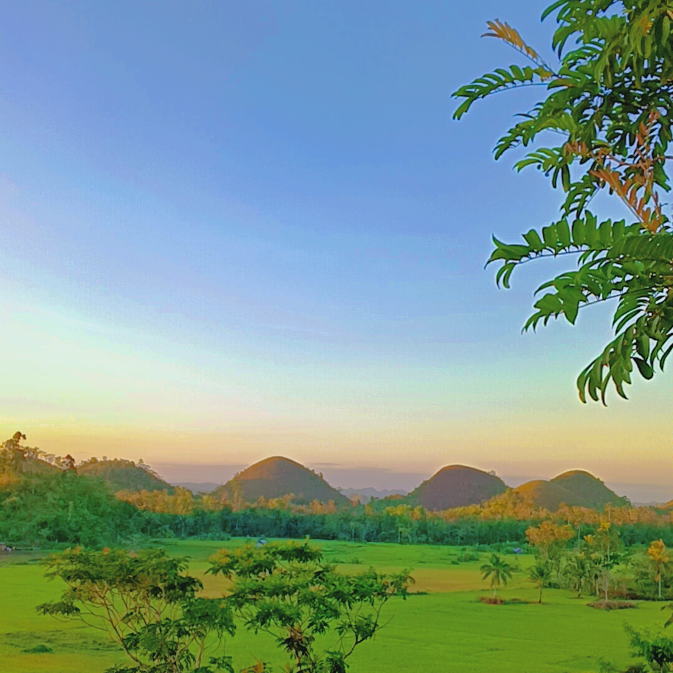 rayover_2026-03-03T21:53:54.895Z