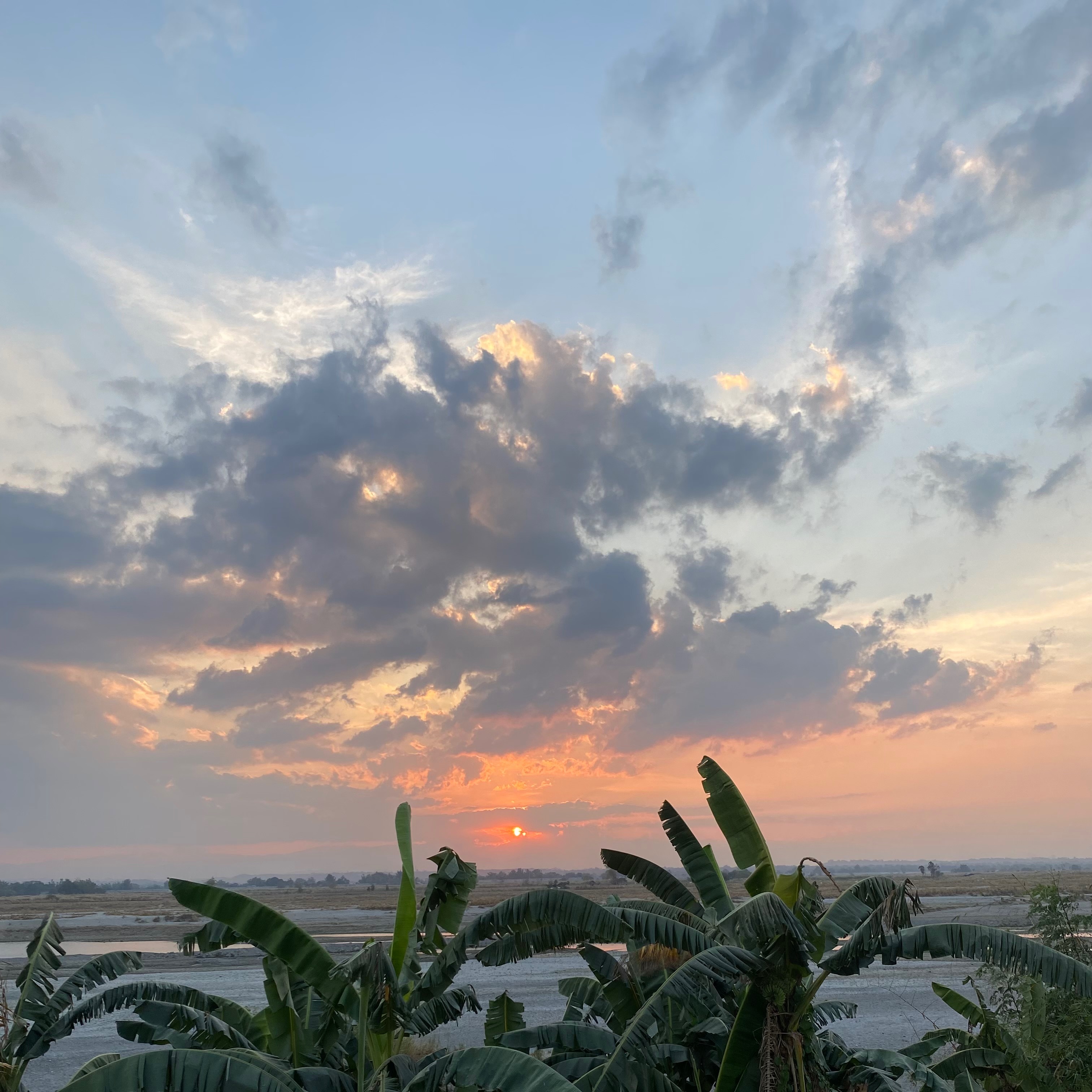 rayover_2026-03-05T23:18:13.131Z