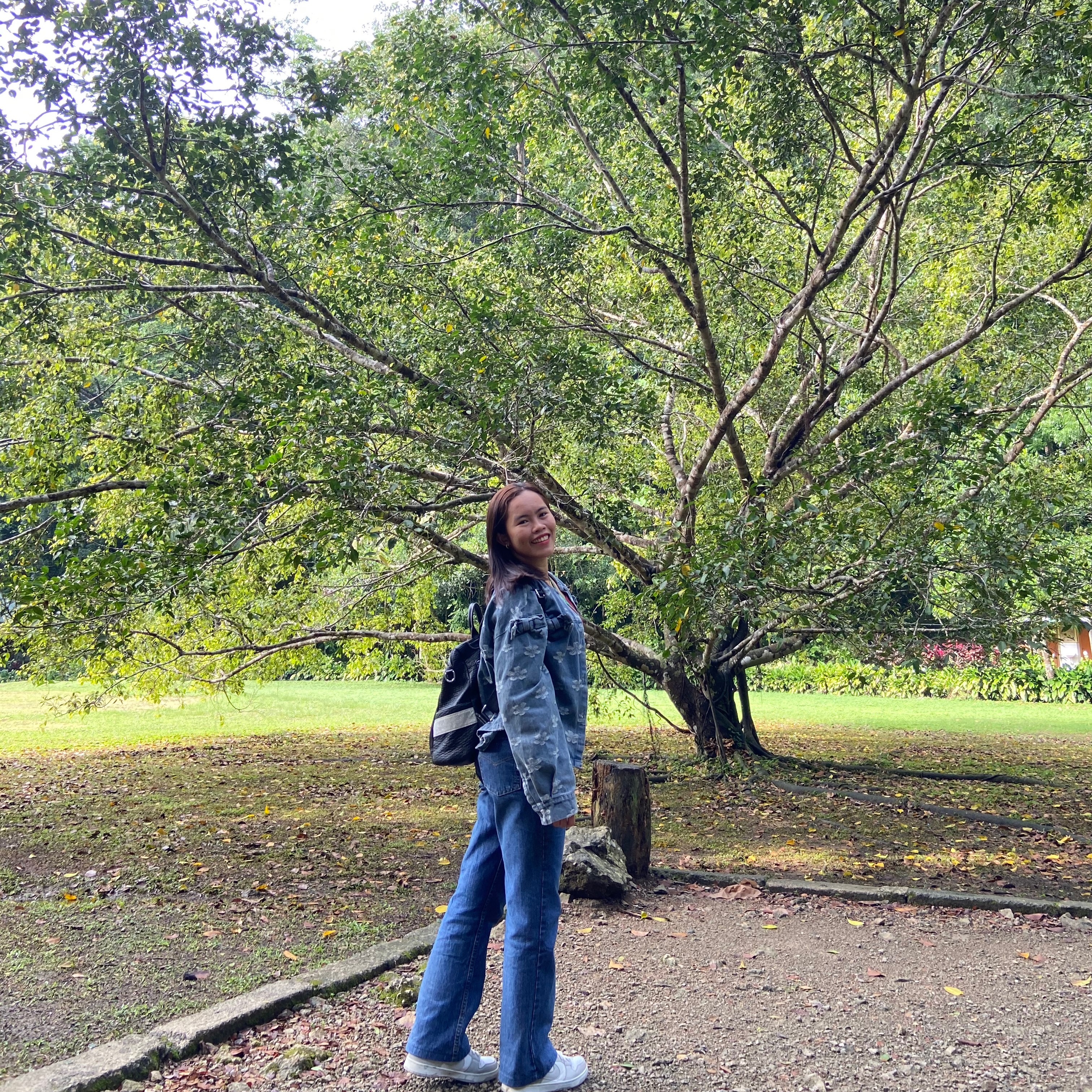 rayover_2026-03-08T10:22:33.199Z