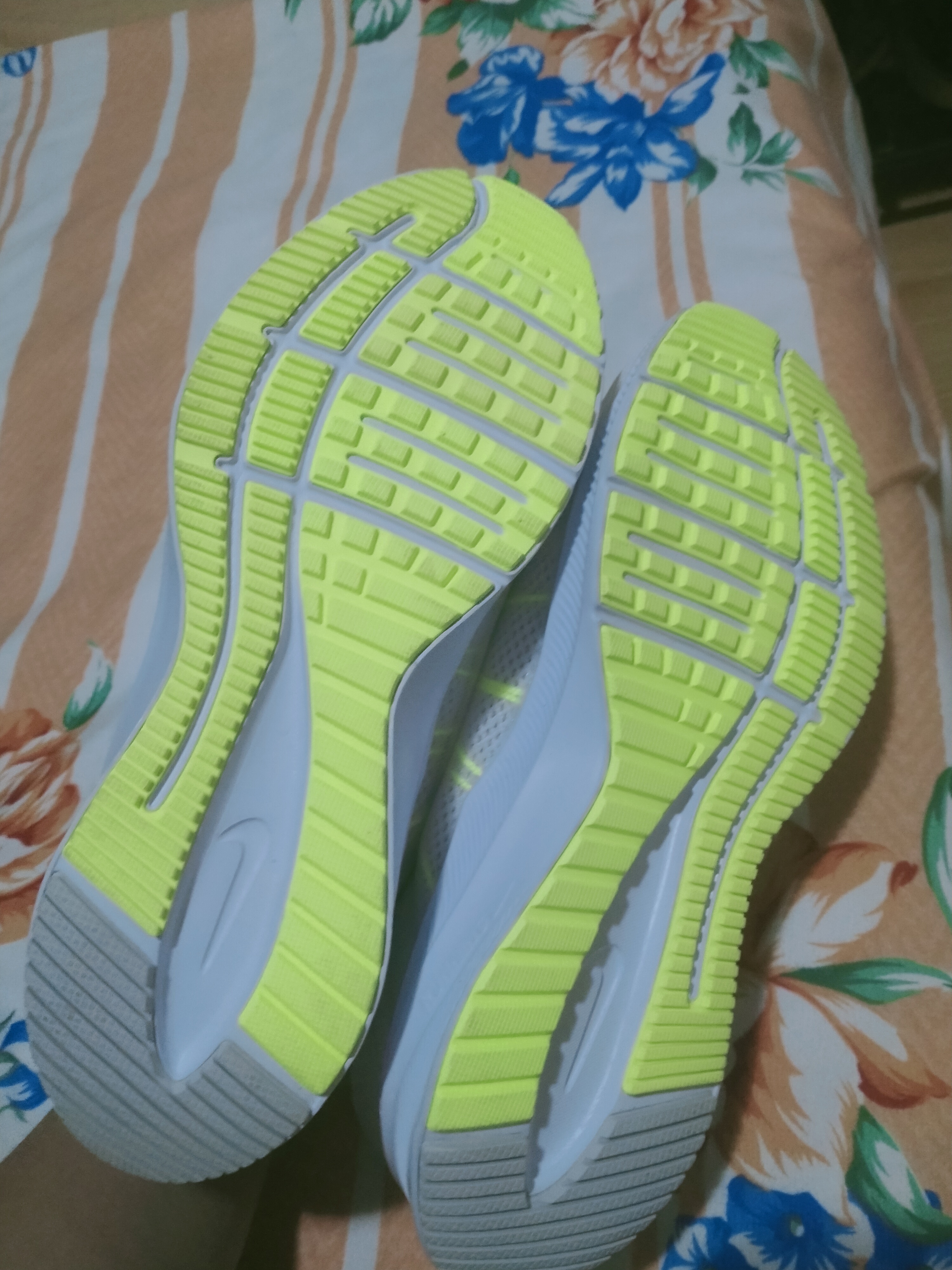 IMG20260201143545.jpg