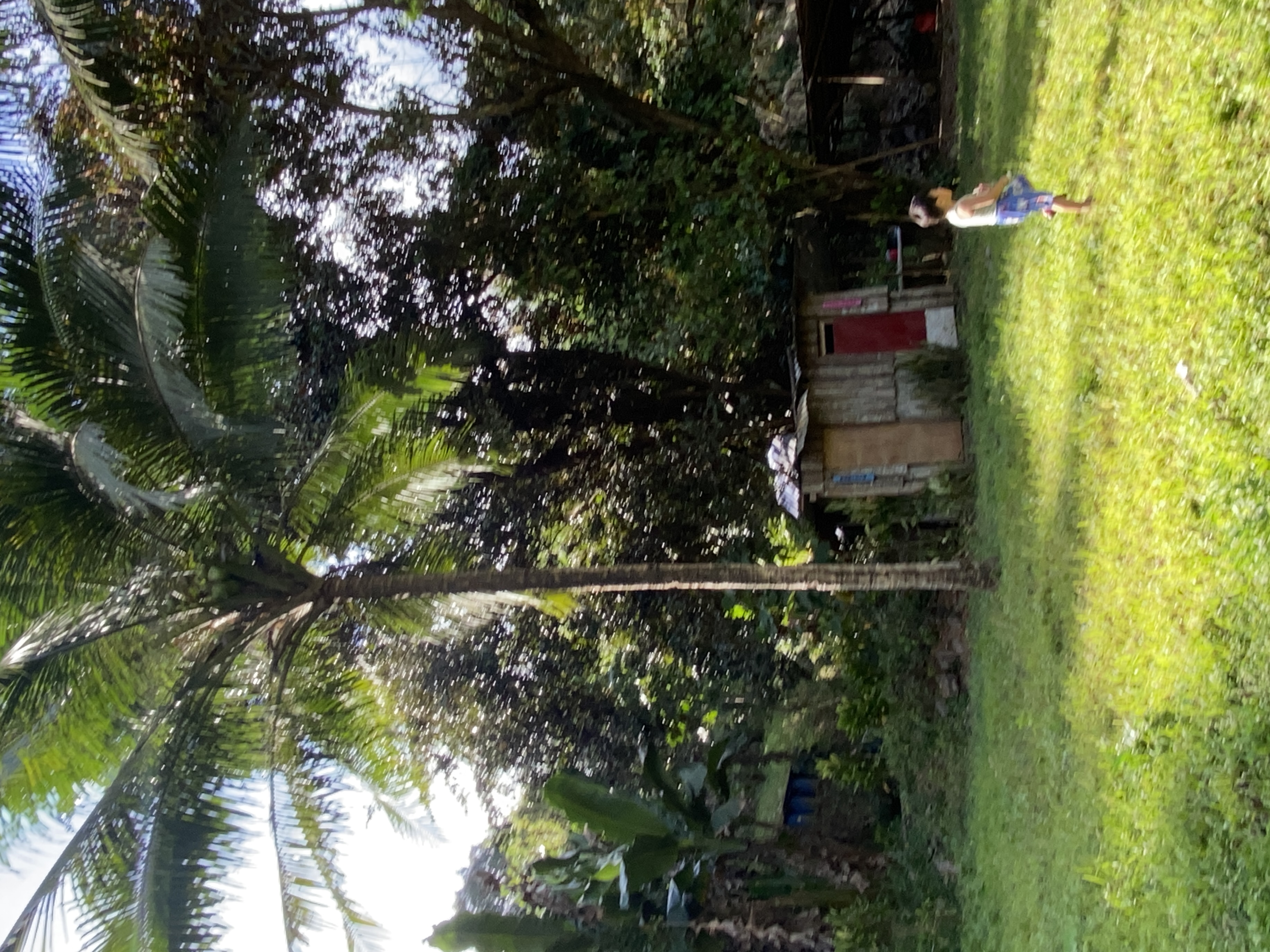 IMG_7724.jpeg
