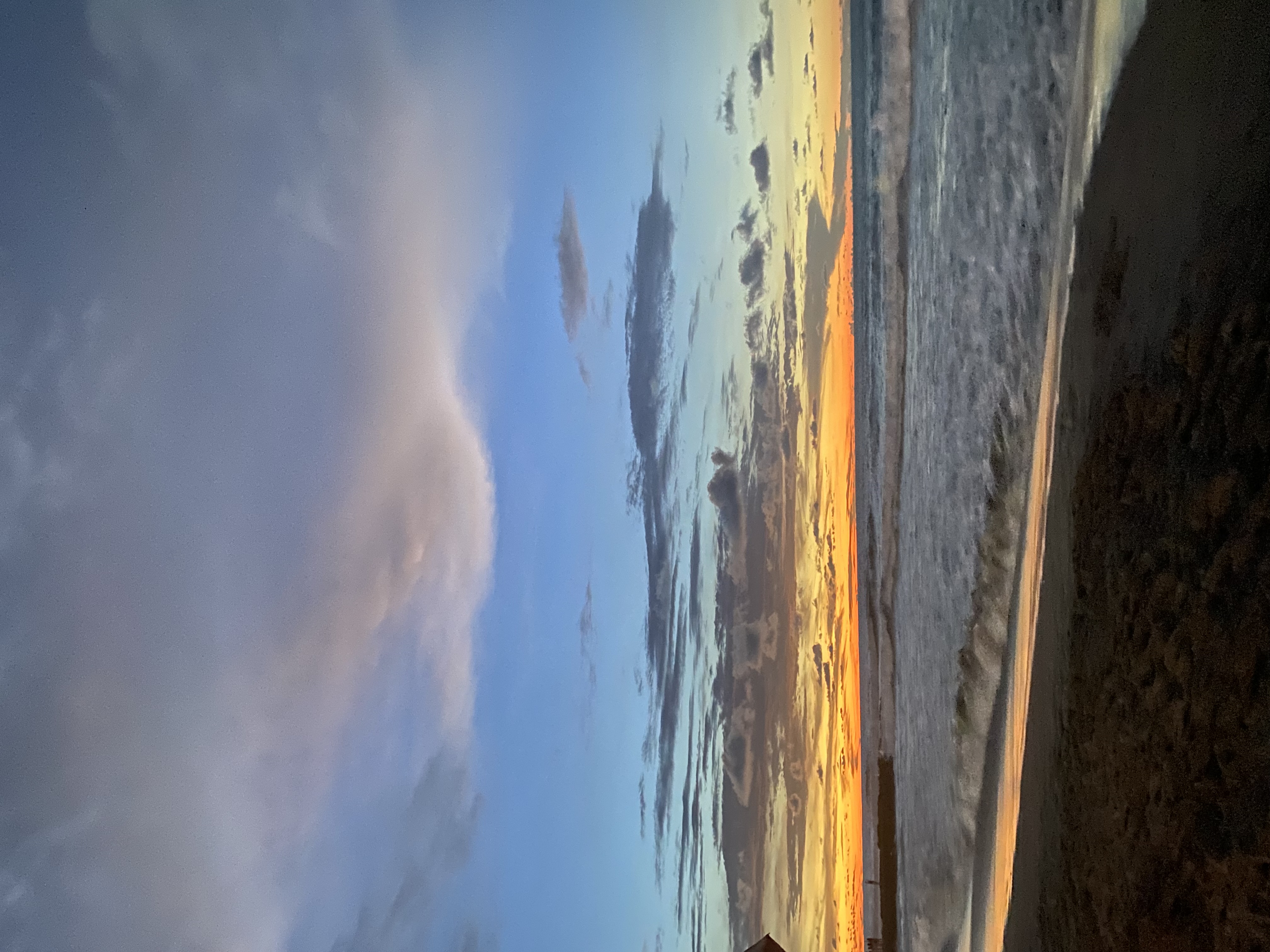 IMG_4174.jpeg