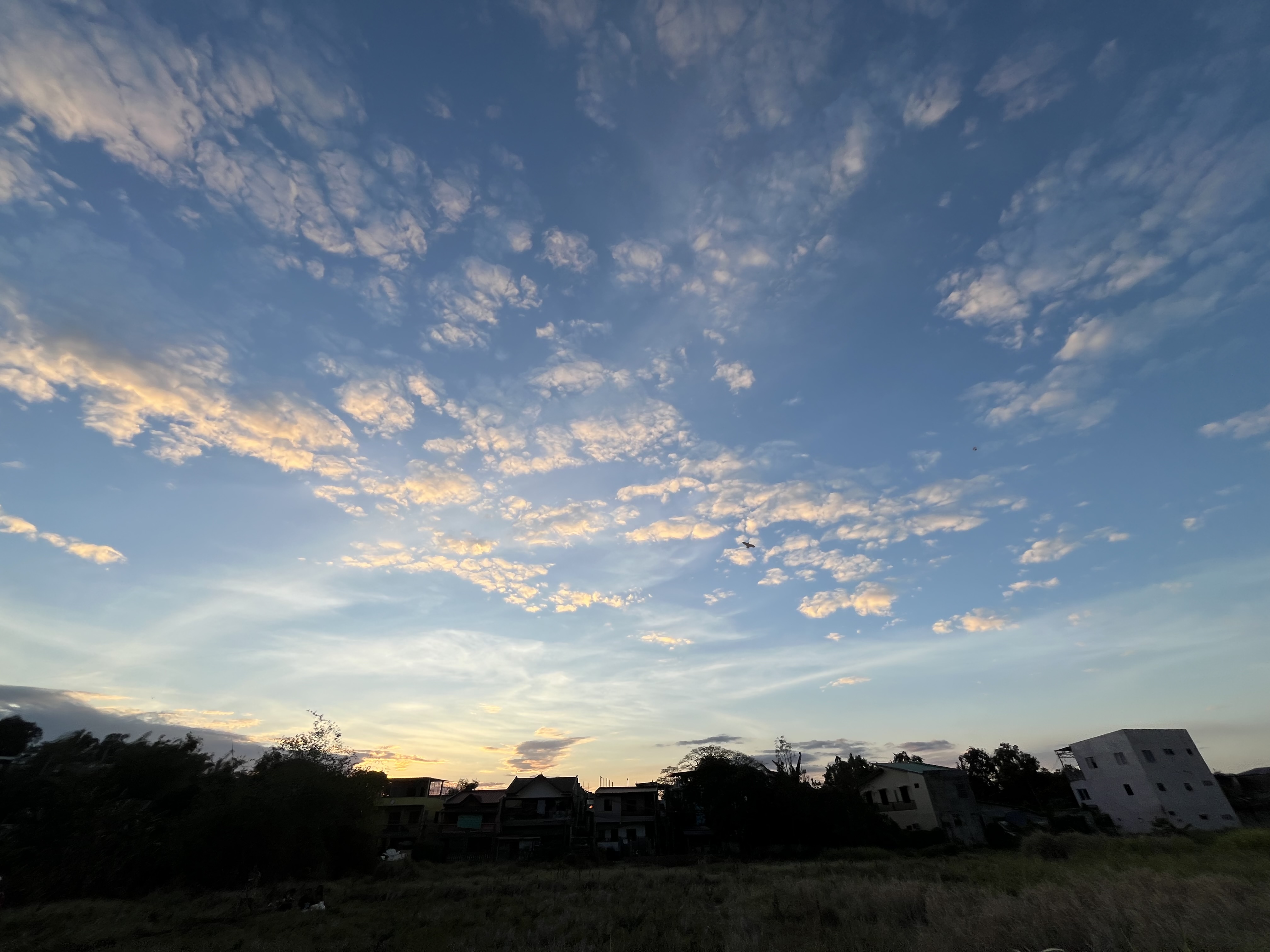 IMG_1913.jpeg