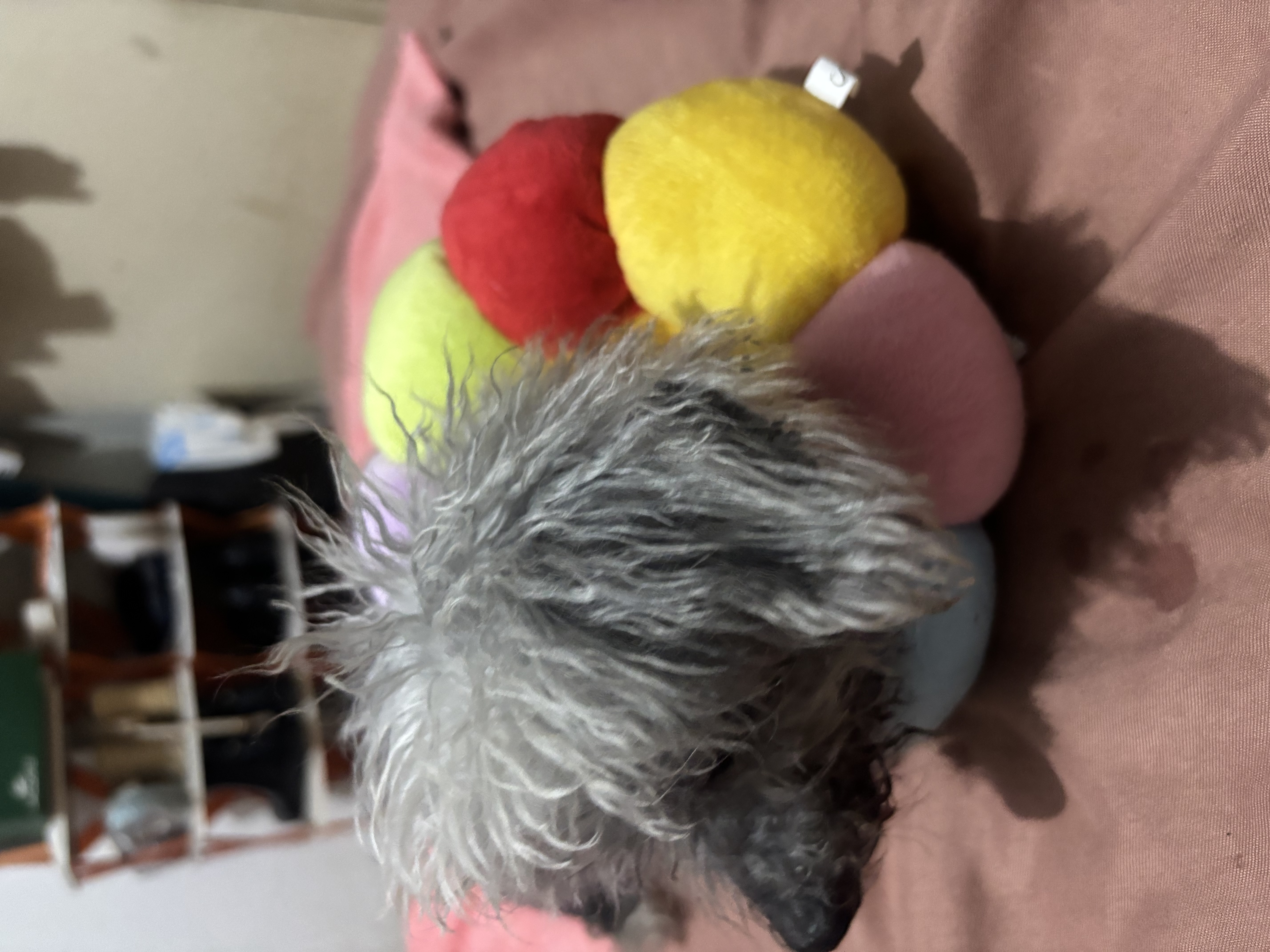 IMG_0508.jpeg