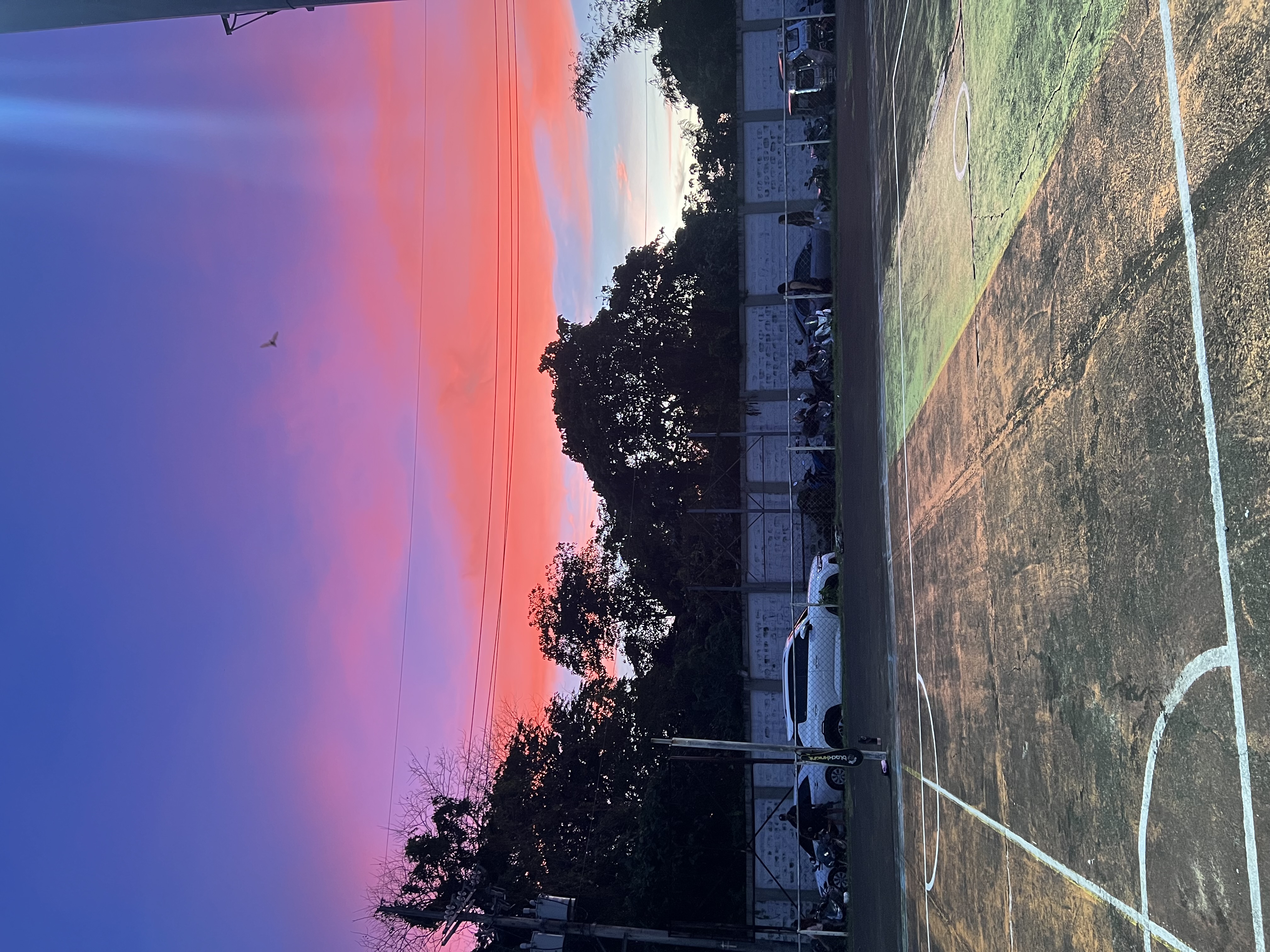 IMG_0038.jpeg
